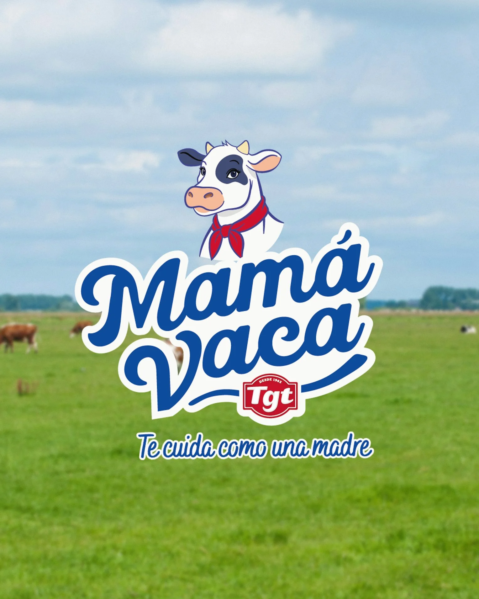 portada.jpg