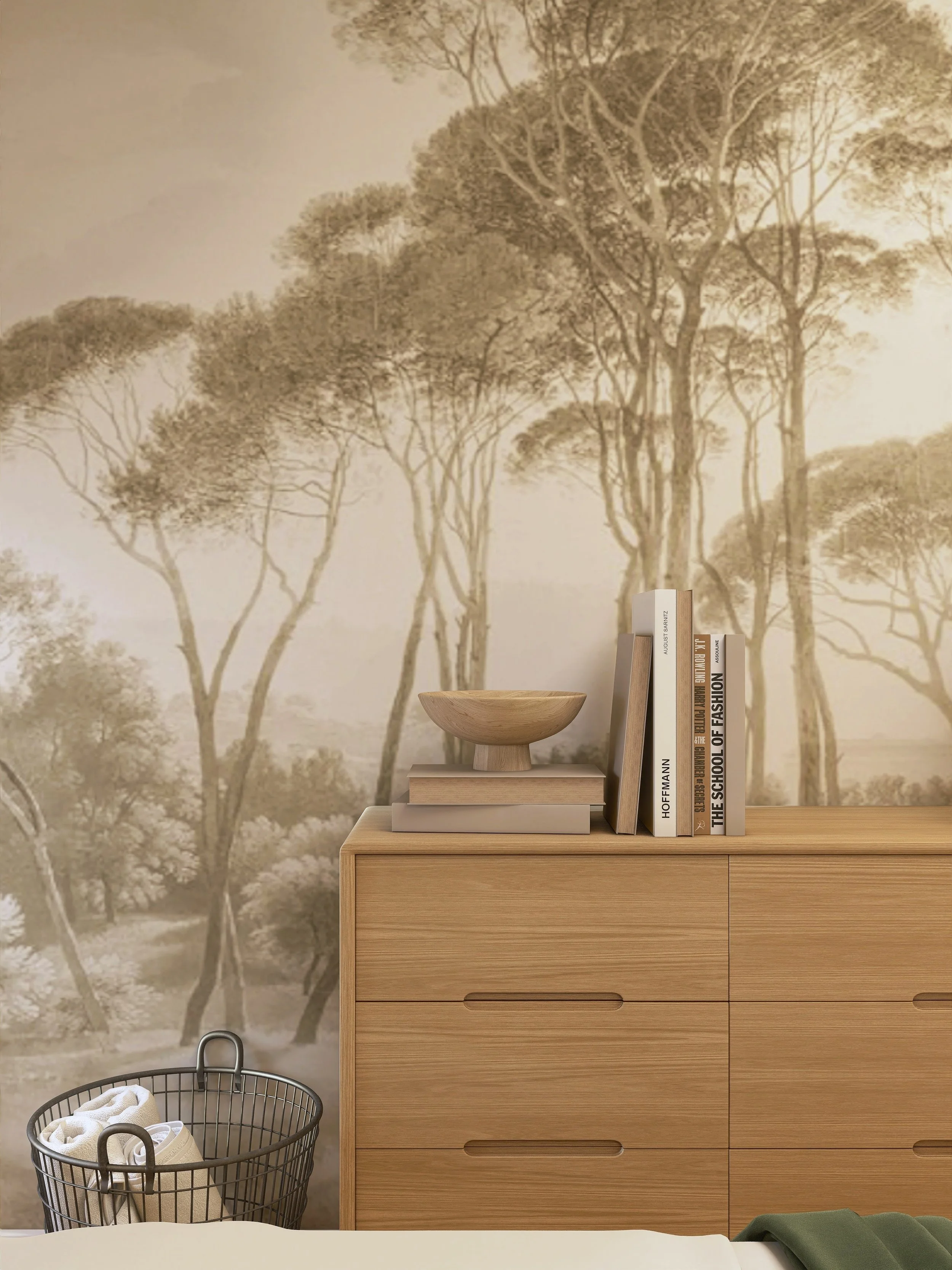 design interior camera oaspeti