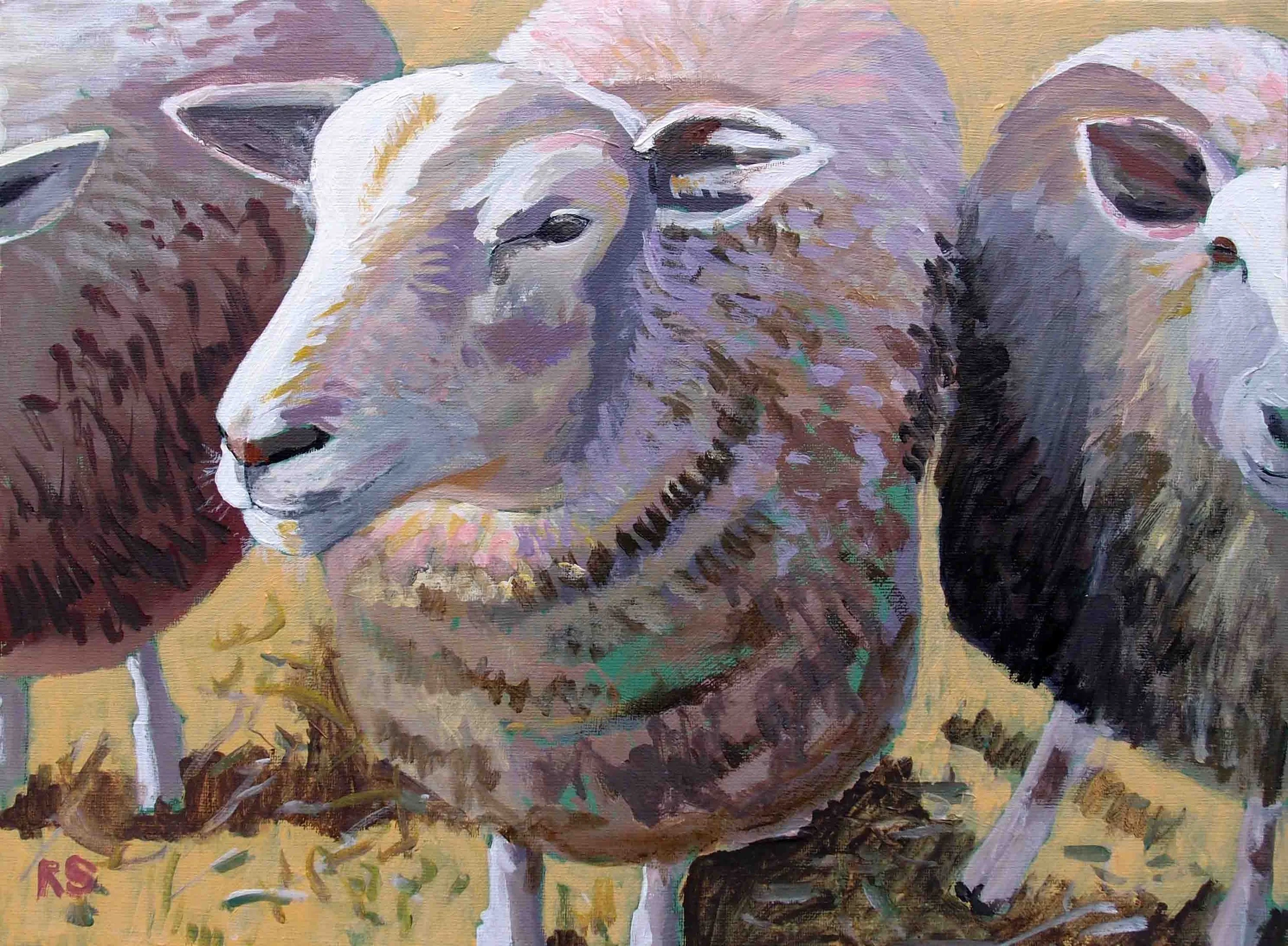 Sheep. Acrylics on canvas, 50 x 70 cm. SOLD