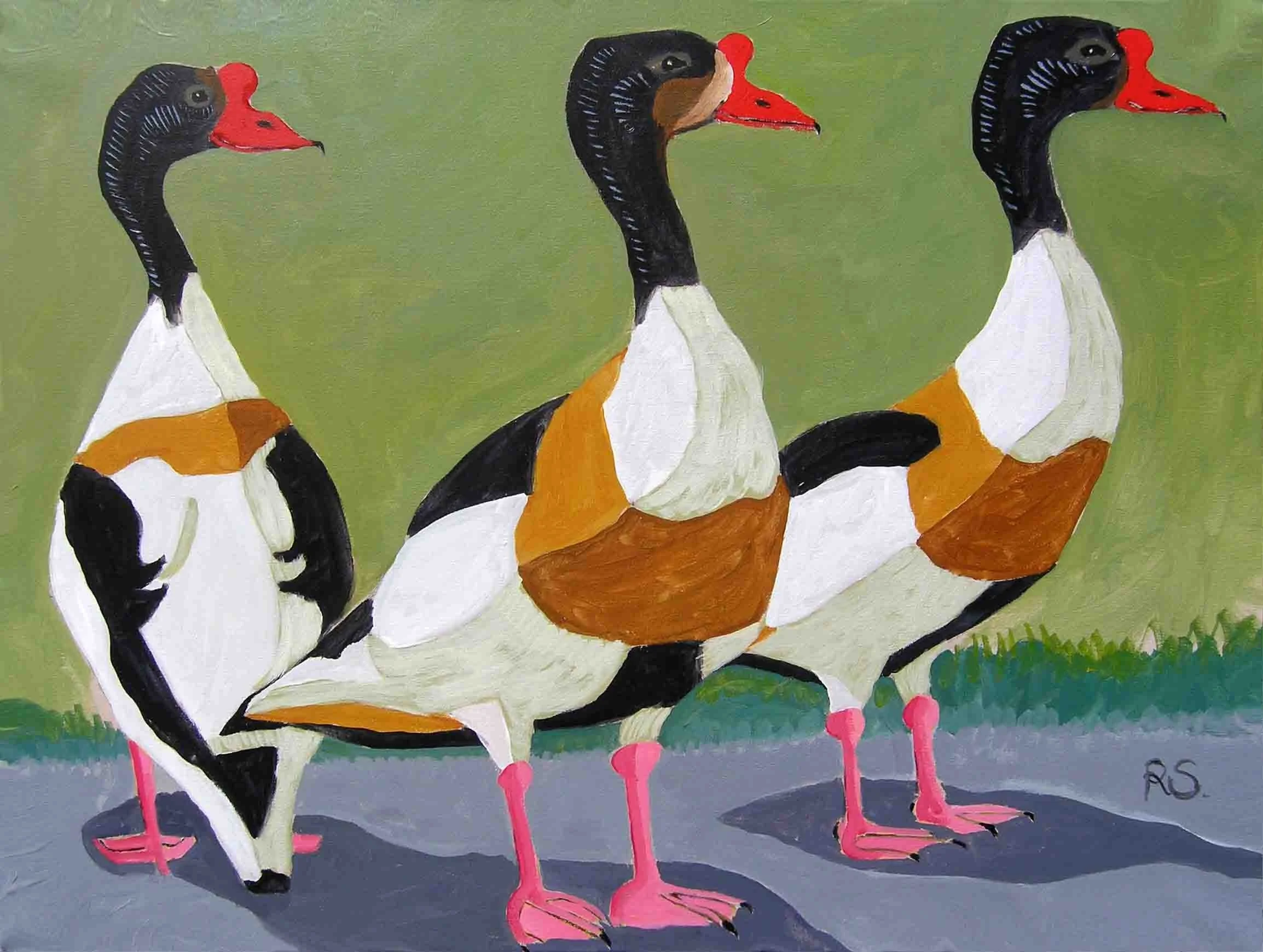 The Three Shelducks. Acrylics on canvas, 60 x 80 cm.