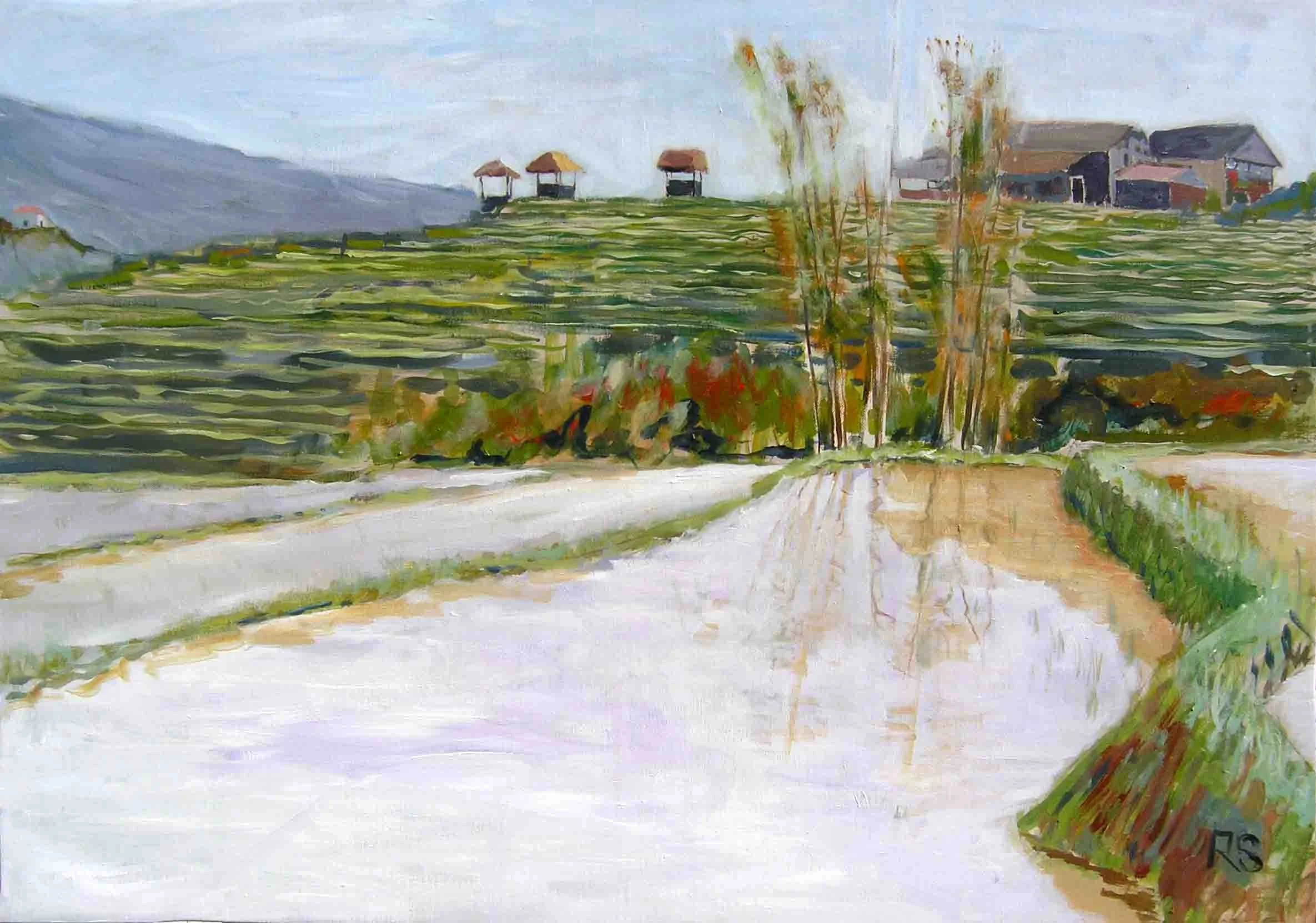 Sapa Rice Fields. Acrylics on canvas, 70 x 100 cm. SOLD