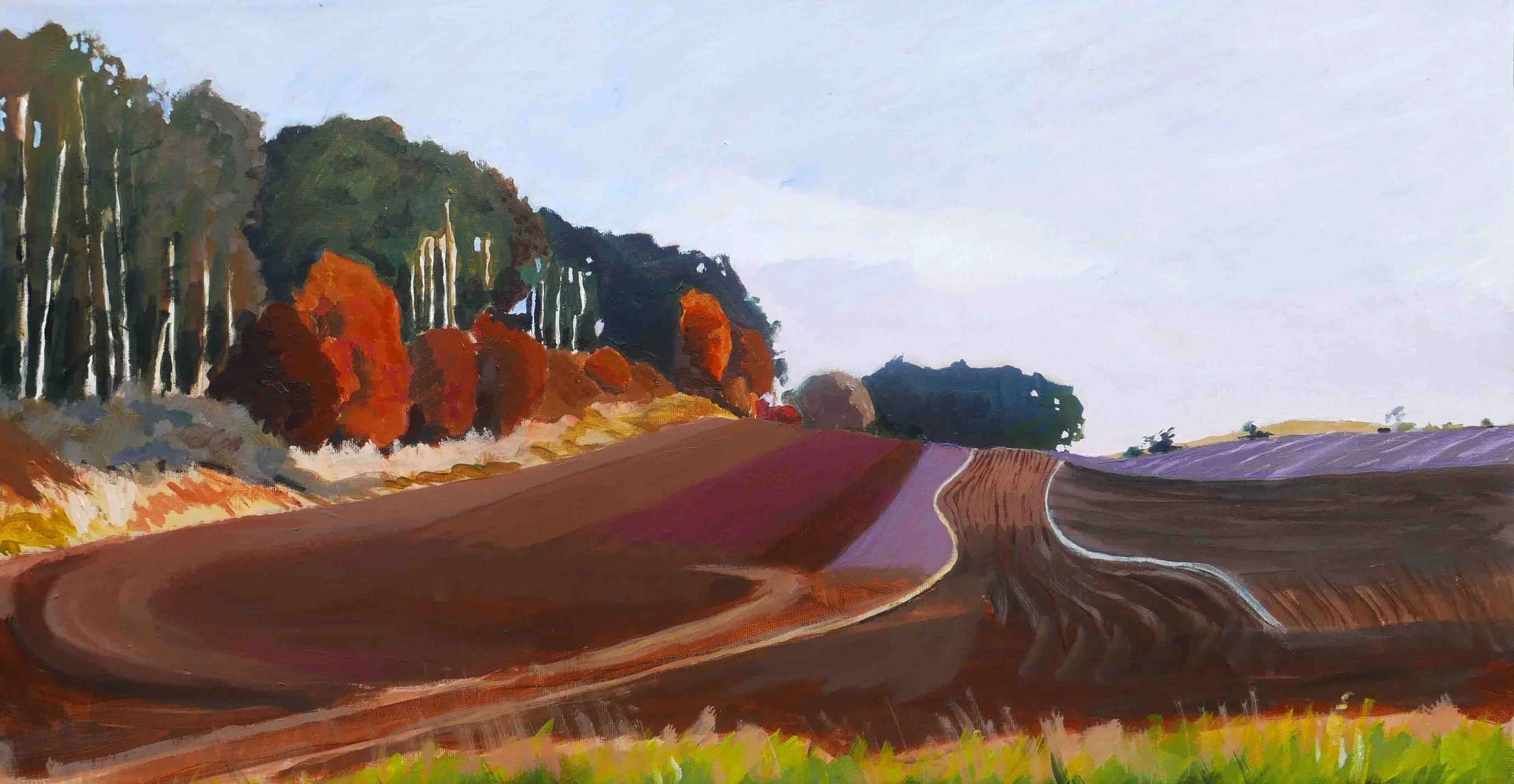 Autumn at Busene. Acrylics on canvas, 30 x 50 cm. SOLD
