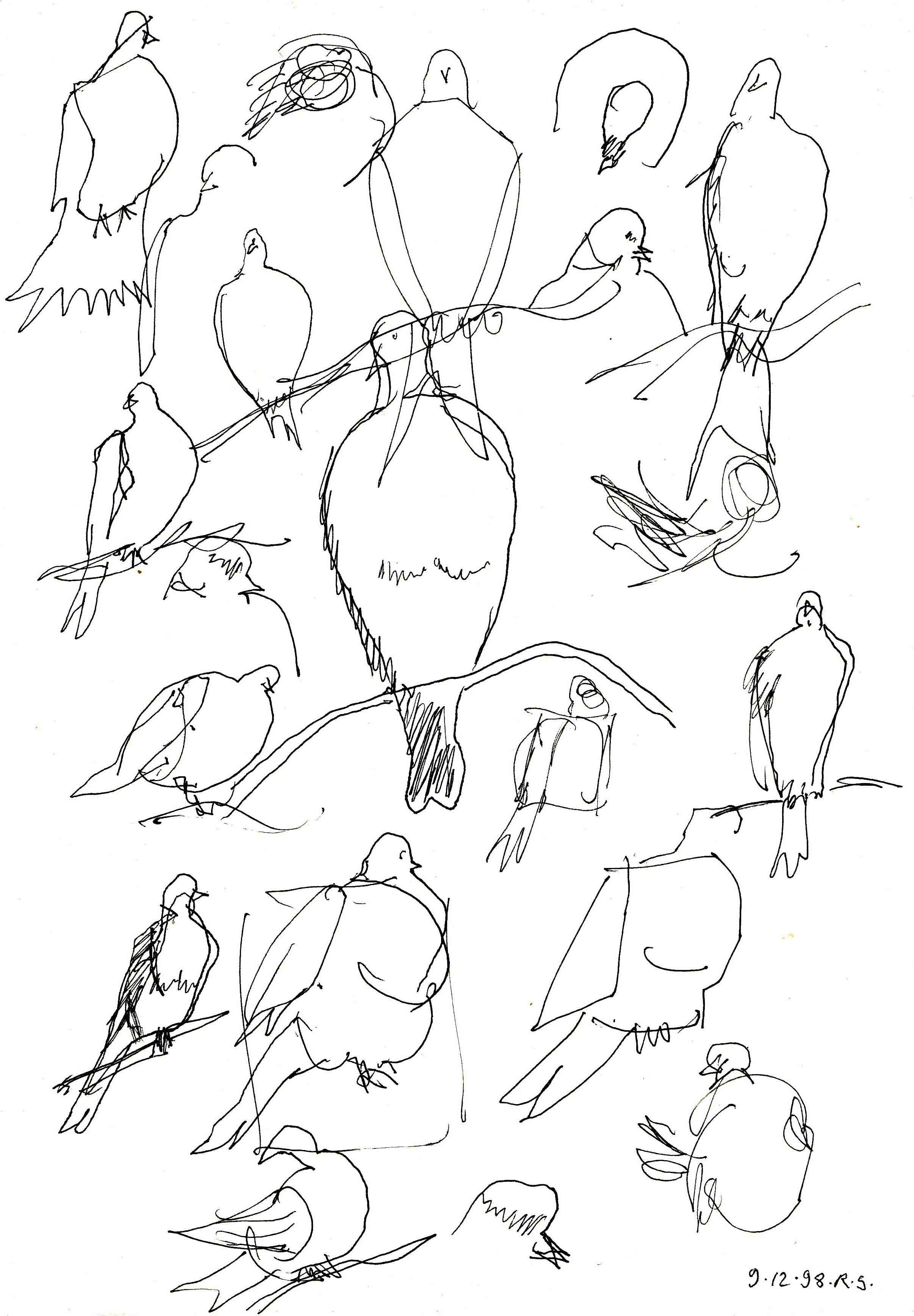 Pigeons. Ink on paper.