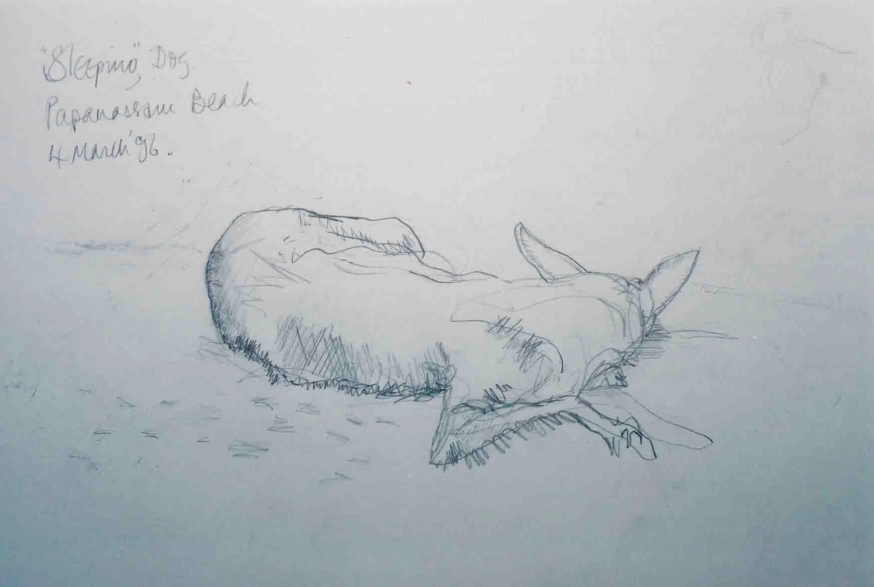 Sleeping Dog. Graphite on paper.