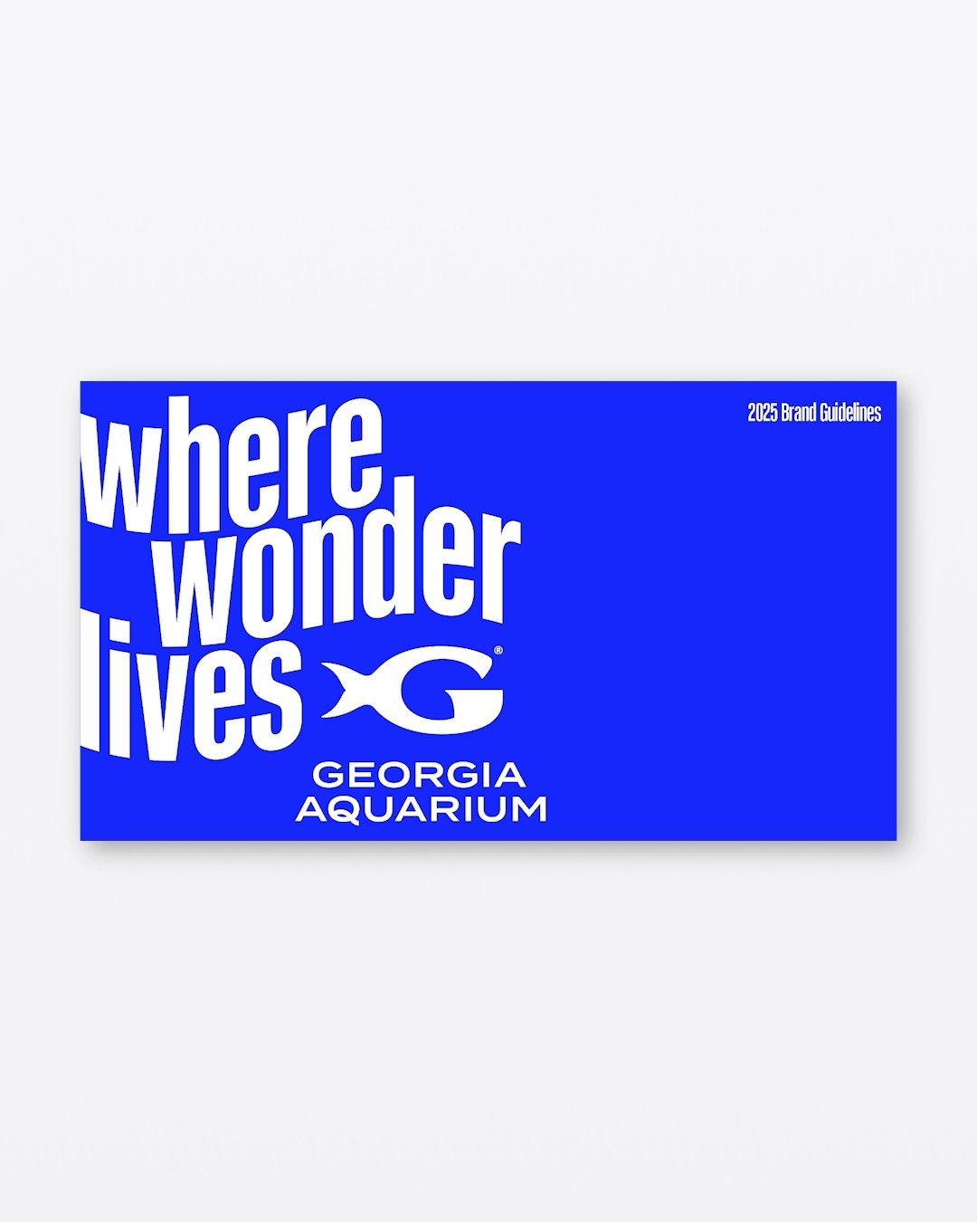 (331) Brand Guidelines - Georgia Aquarium - 2025

Ever seen a such a beautiful brand guidelines for an Aquarium? Such a vibrant and colourful identity to complement the marine life found inside.

Access the full Slideshowcase collection by subscribin