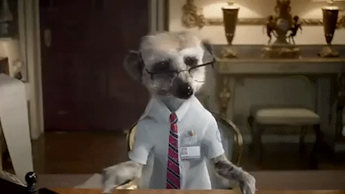 A raccoon dressed as a businessman wearing glasses, a white shirt, and a tie, sitting at a desk.