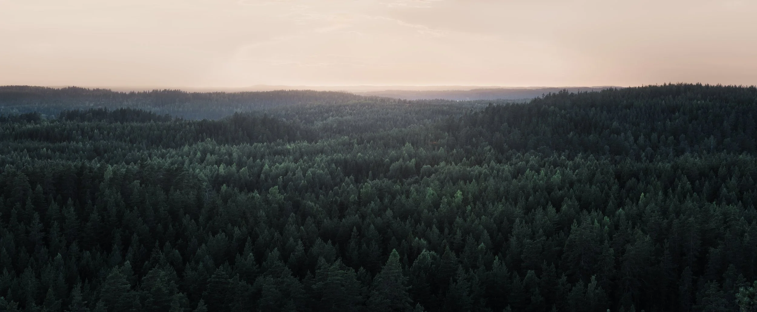 Kuka ostaa, kuka myy ja millaisia metsätiloja liikkuu?