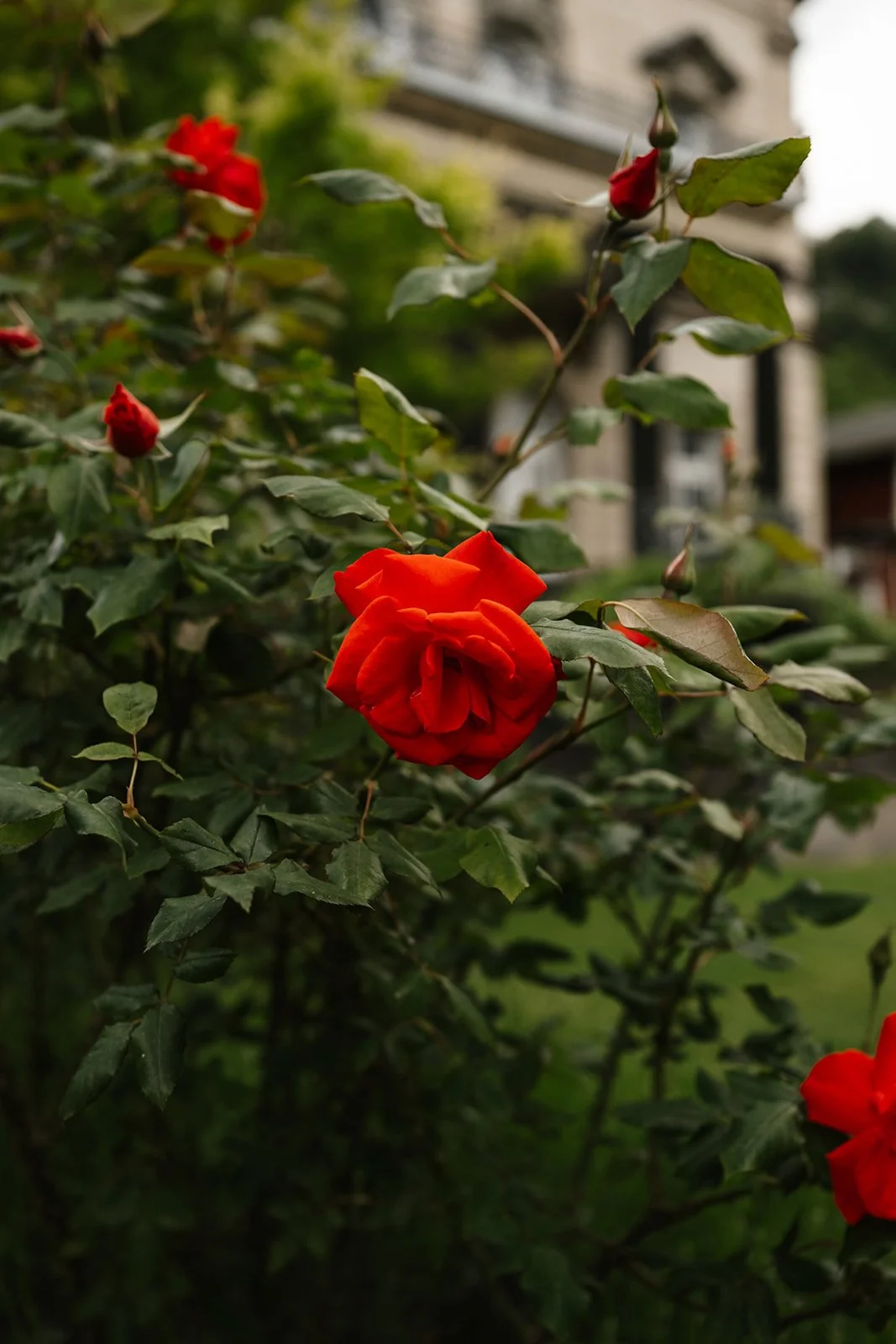 XT057293.jpg