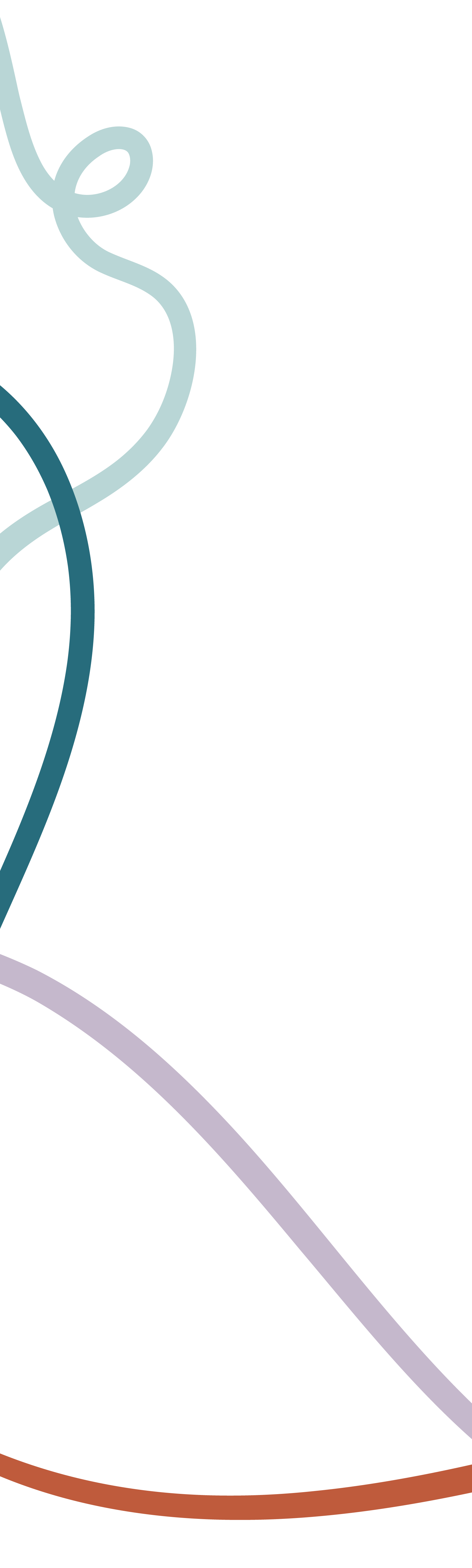 Close-up of a stylized orchid illustration with multicolored outline on a black background.