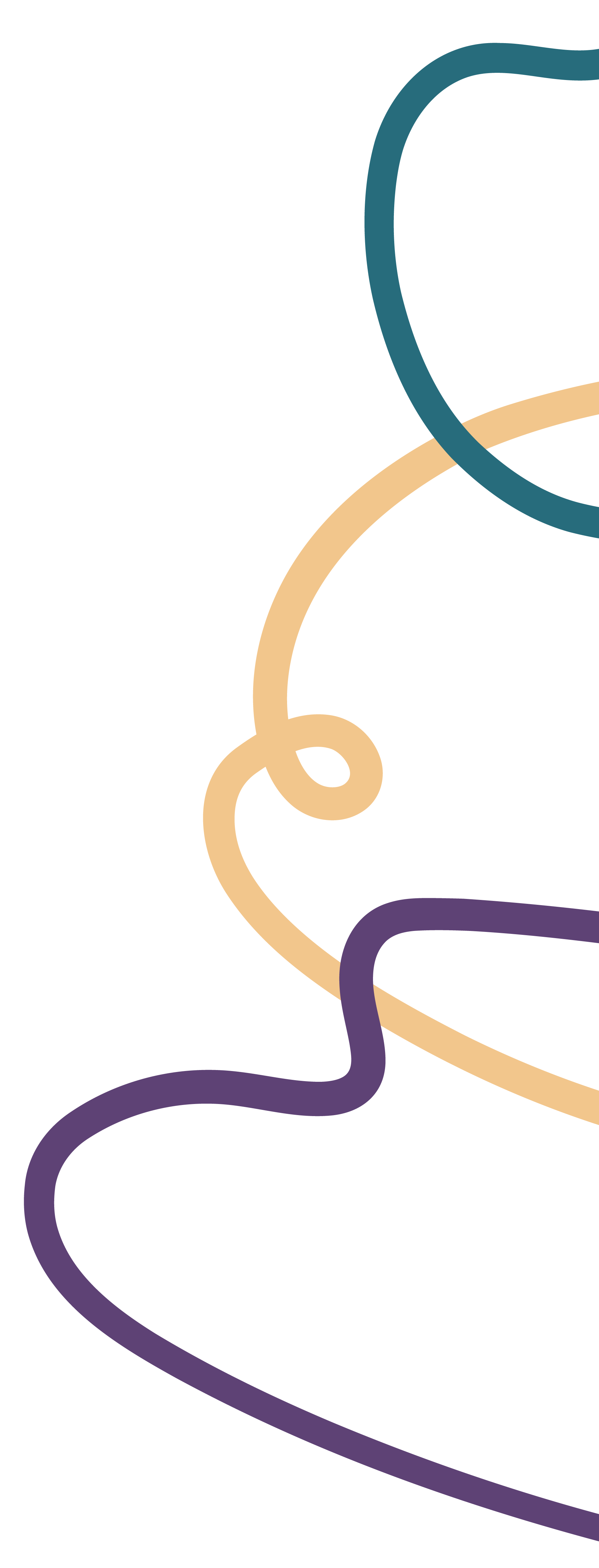 Colorful abstract lines connecting in a flowing pattern against a black background.