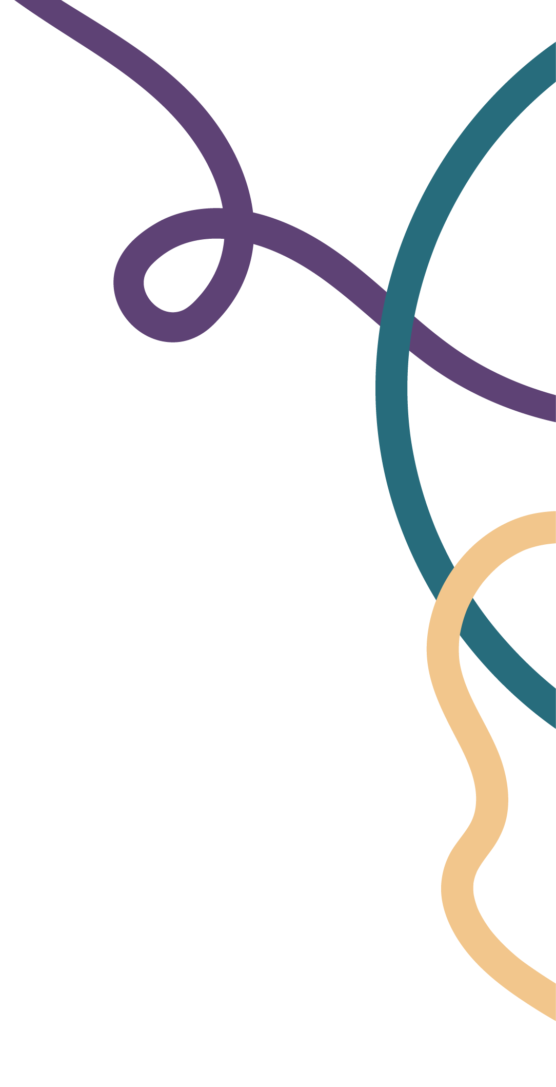 Colorful abstract lines on a black background.