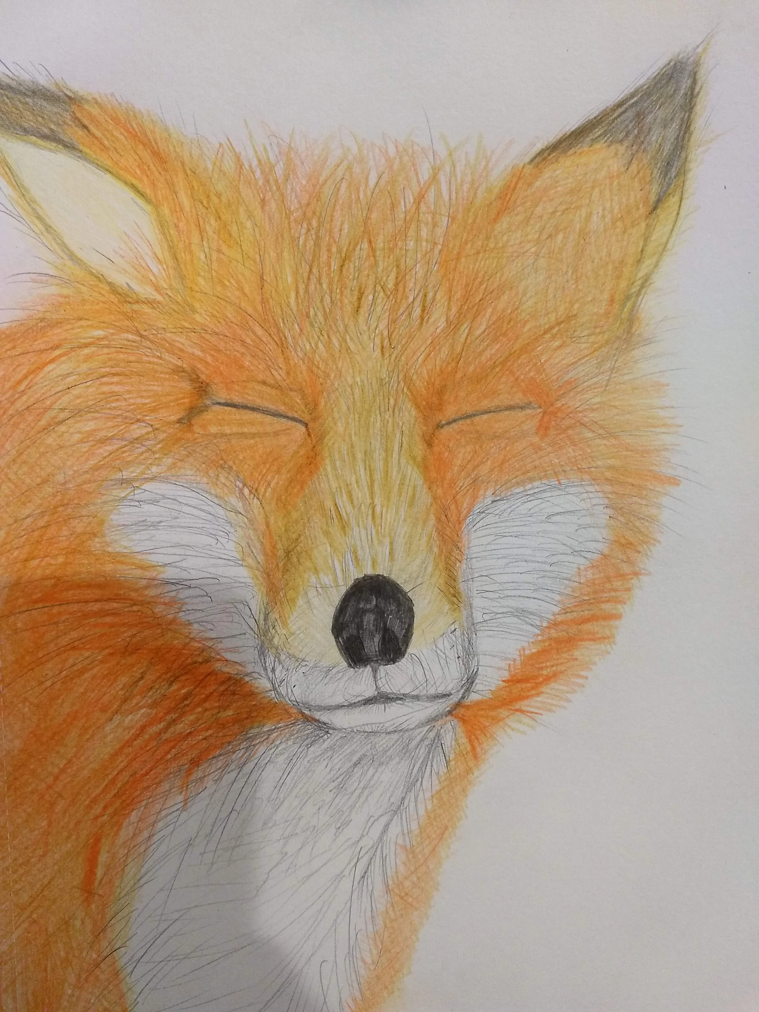 IMG_20190413_205616368 (1).jpg