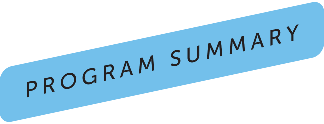 Program Summary Tag