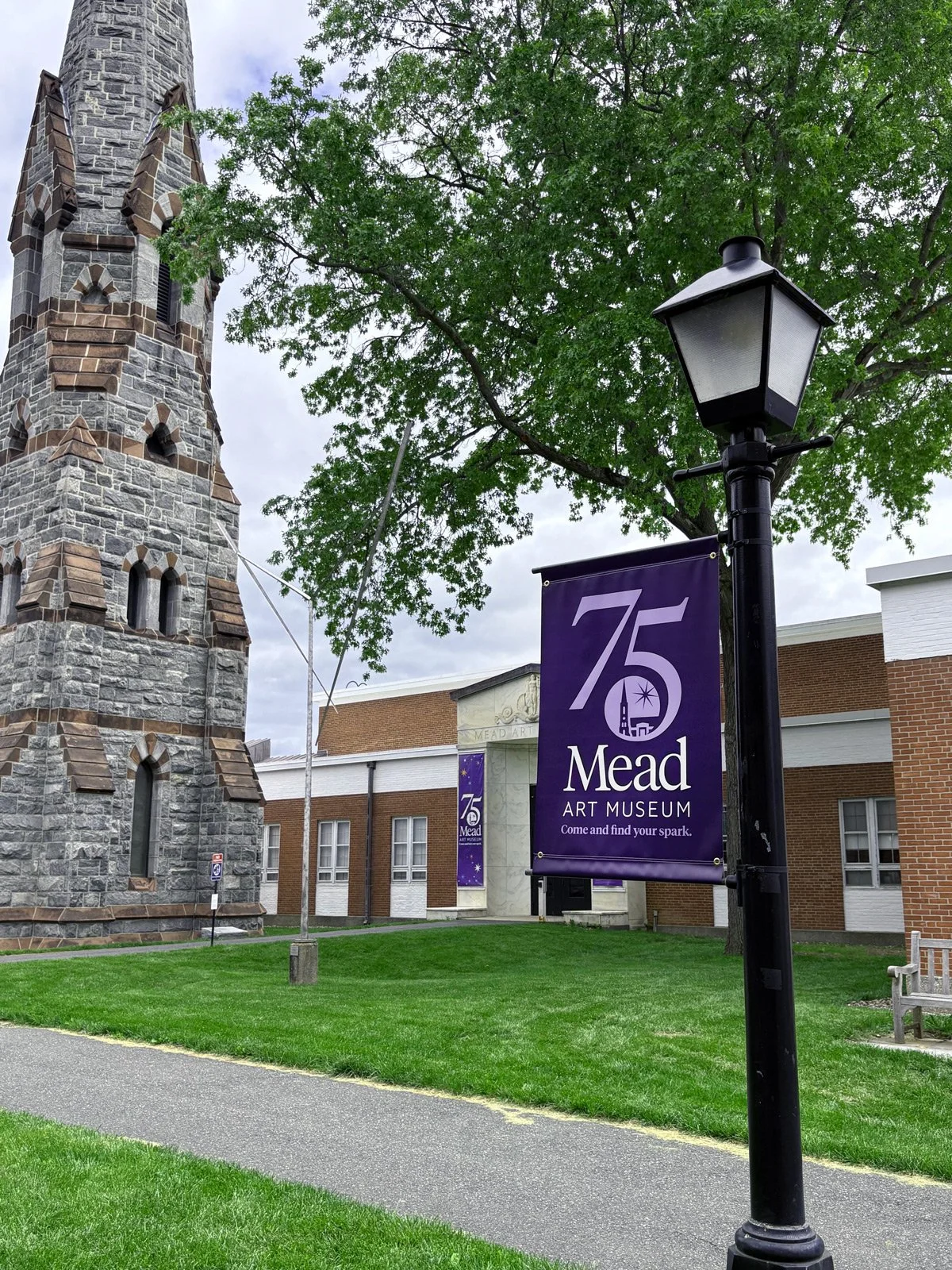 A photo of a lamp post banner outside the Mead Art Museum.