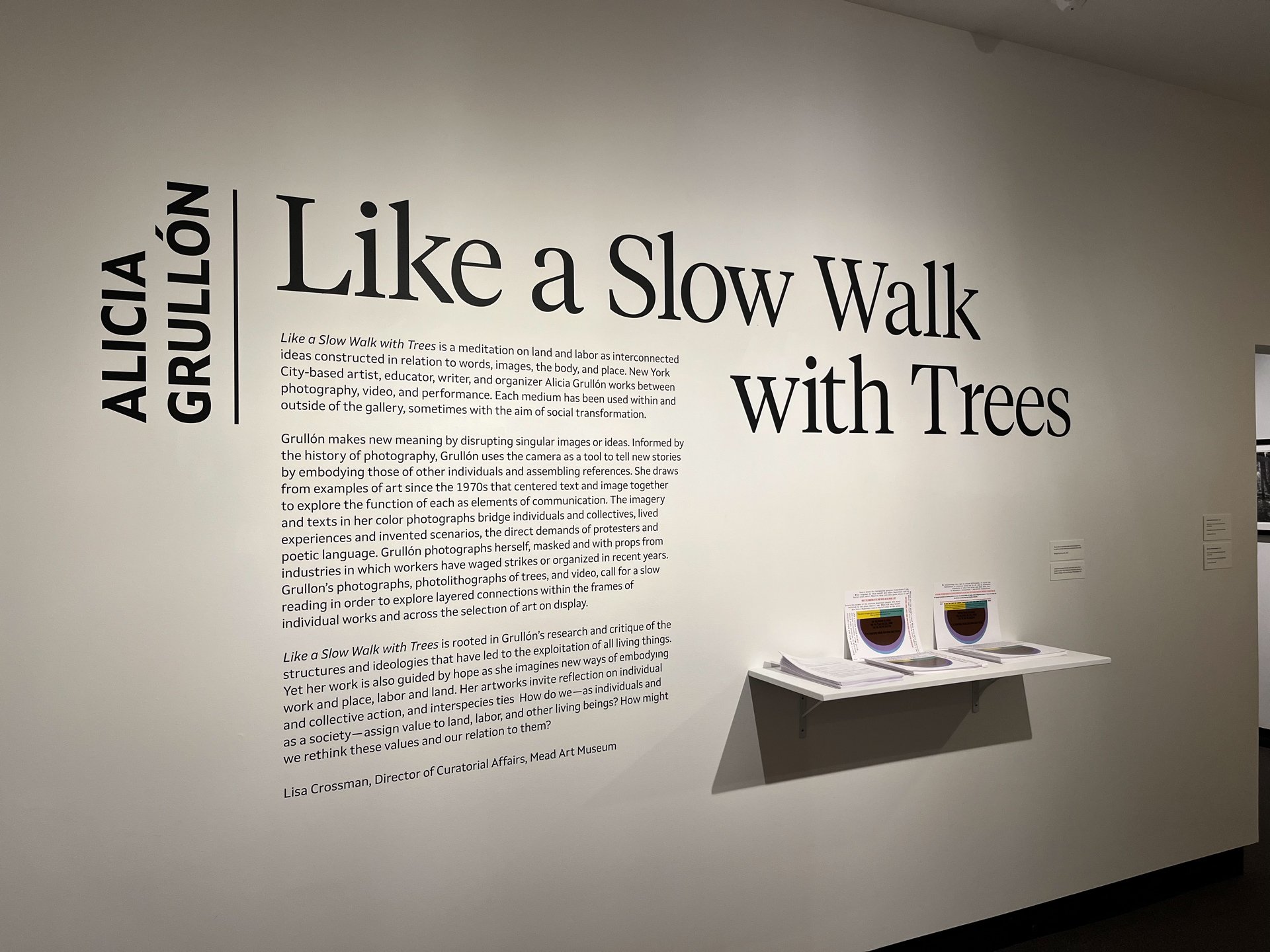 A photo of an art gallery wall with text that reads "Alicia Grullón: A Slow Walk with Trees."