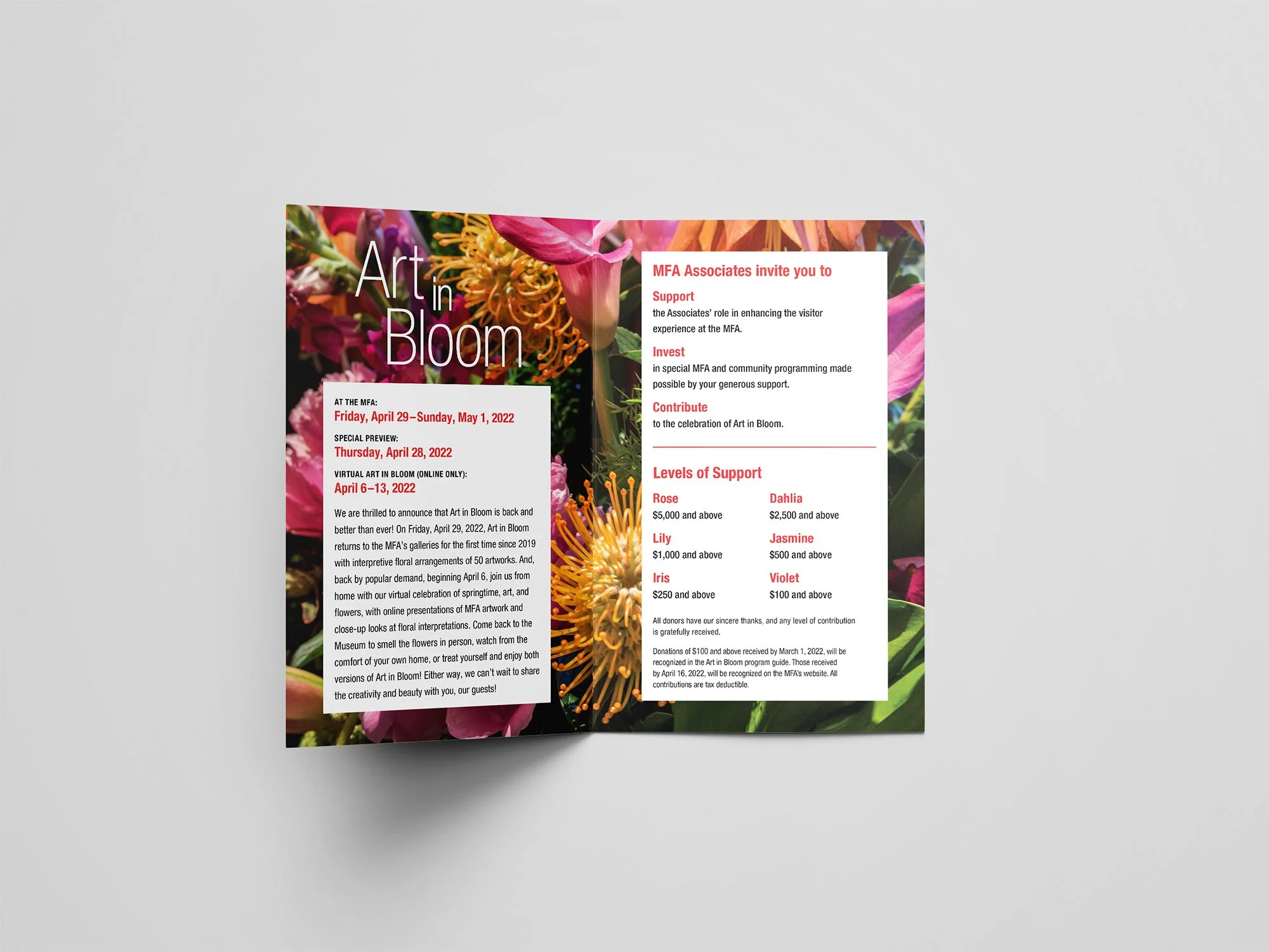 An interior mockup of the brochure for the MFA Boston's "Art in Bloom" program featuring a bright floral photo in the background.