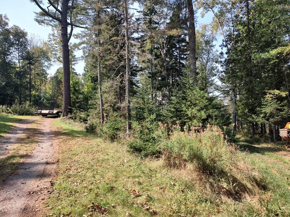 Oranssi project: passive house