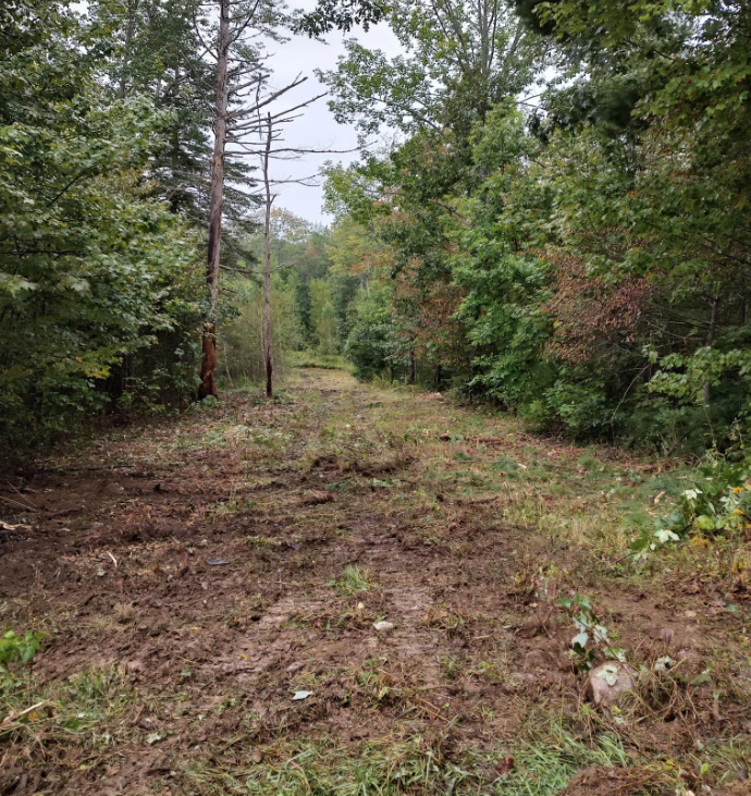 Oranssi project: studio shed