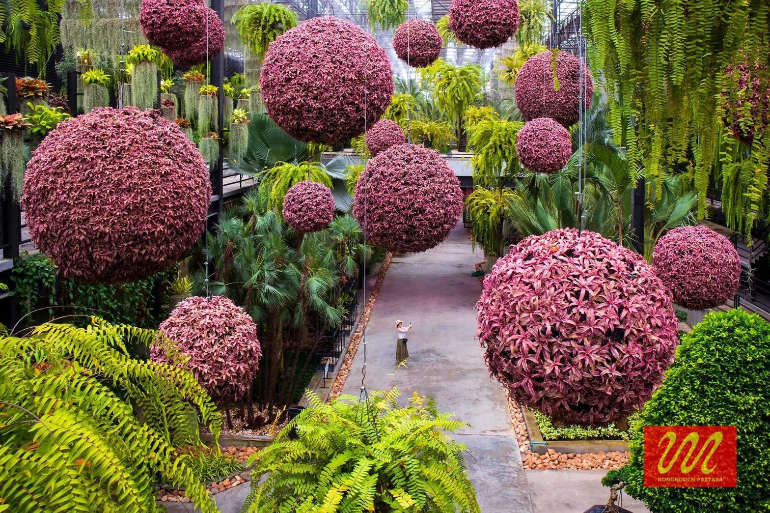 Garden in the sky 6.jpg
