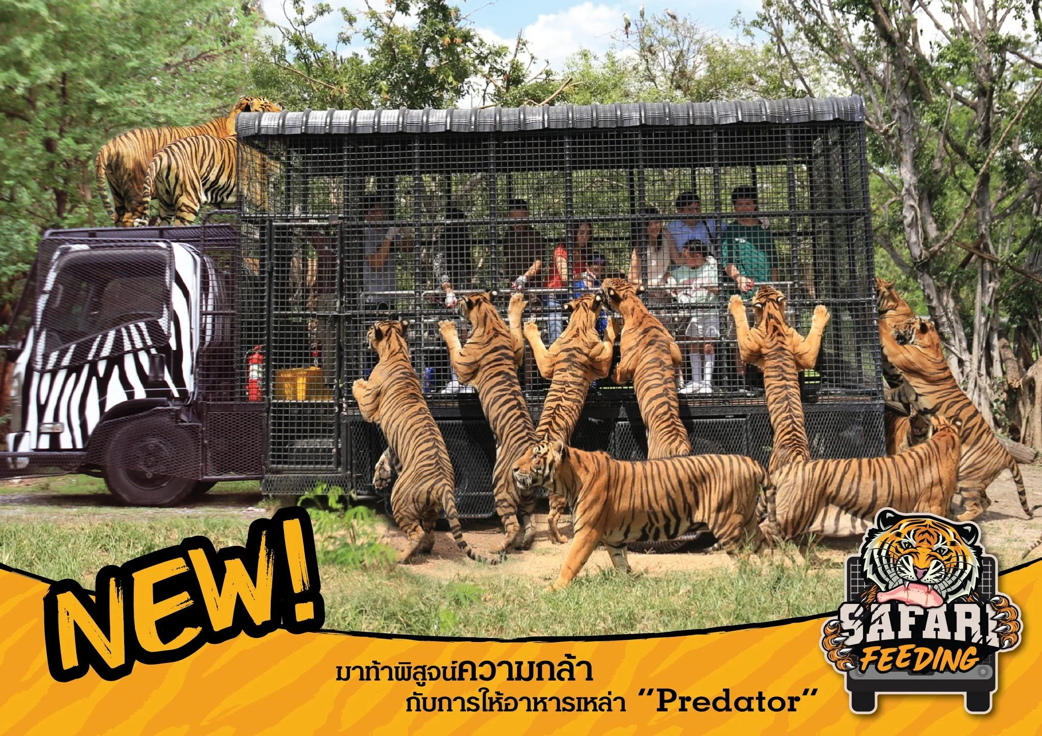 Safari Feeding_01.jpg