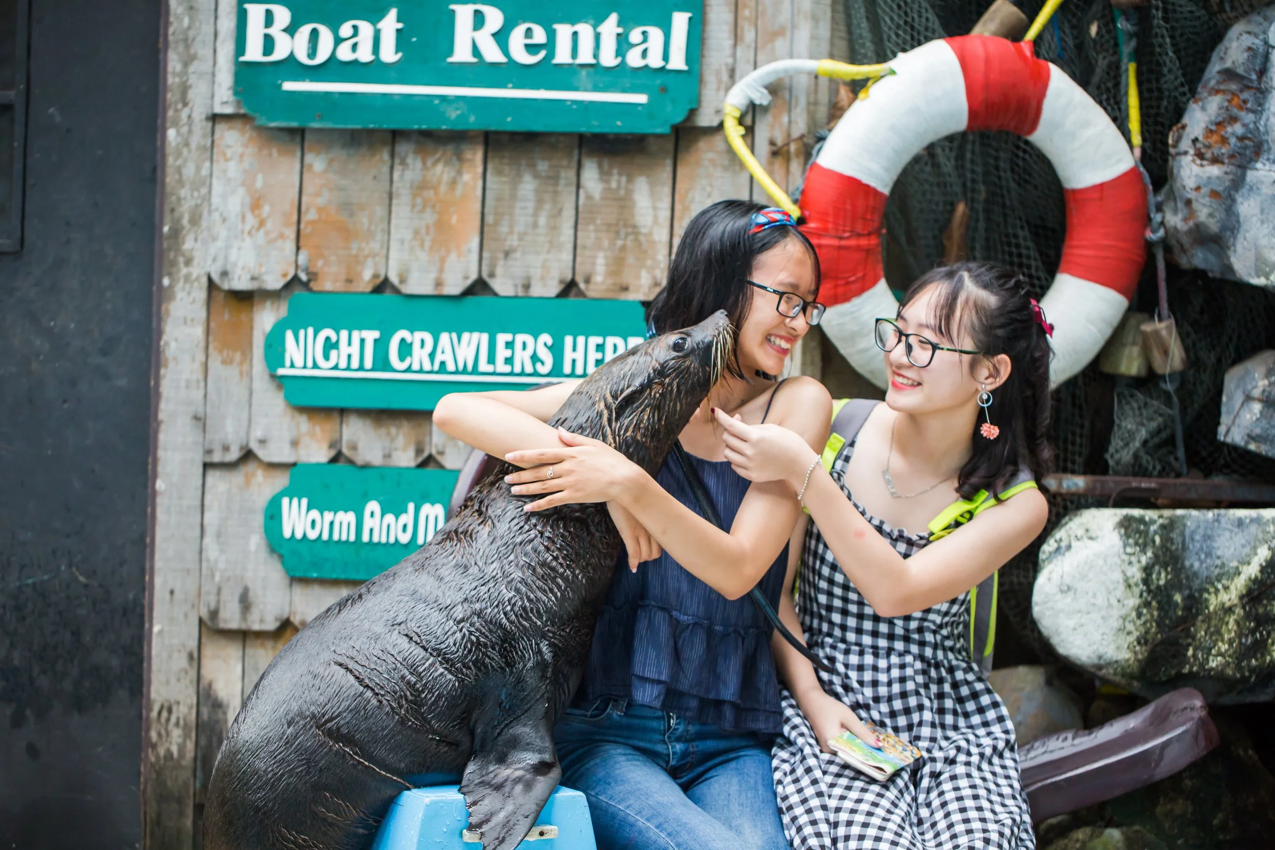 Sea Lion Show_06.jpg