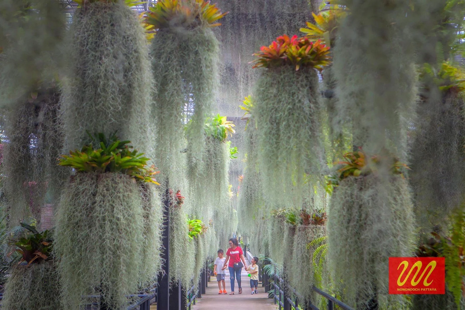 Garden in the sky 5.jpg