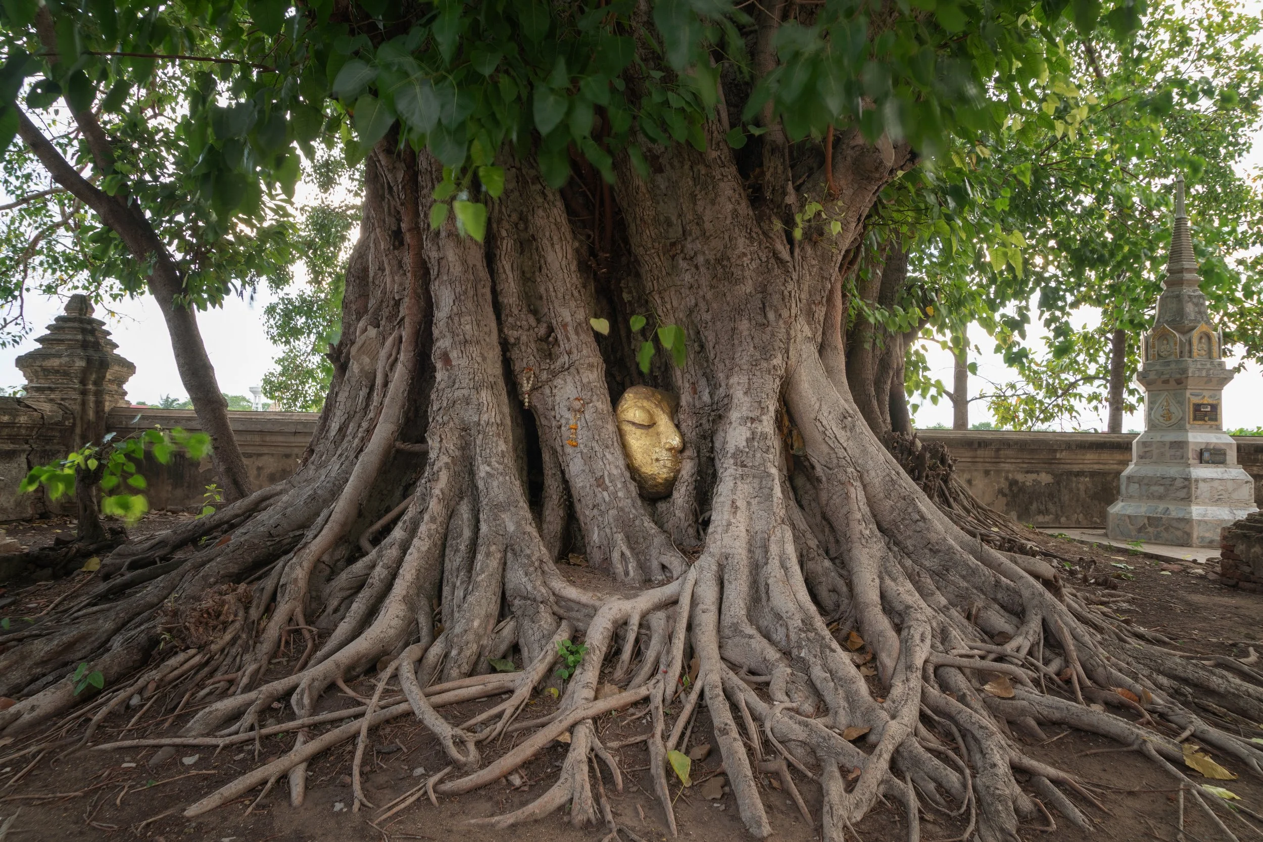 old-ruins-of-a-ancient-temple-in-phra-nakhon-si-ay-2024-10-18-11-04-40-utc.jpg