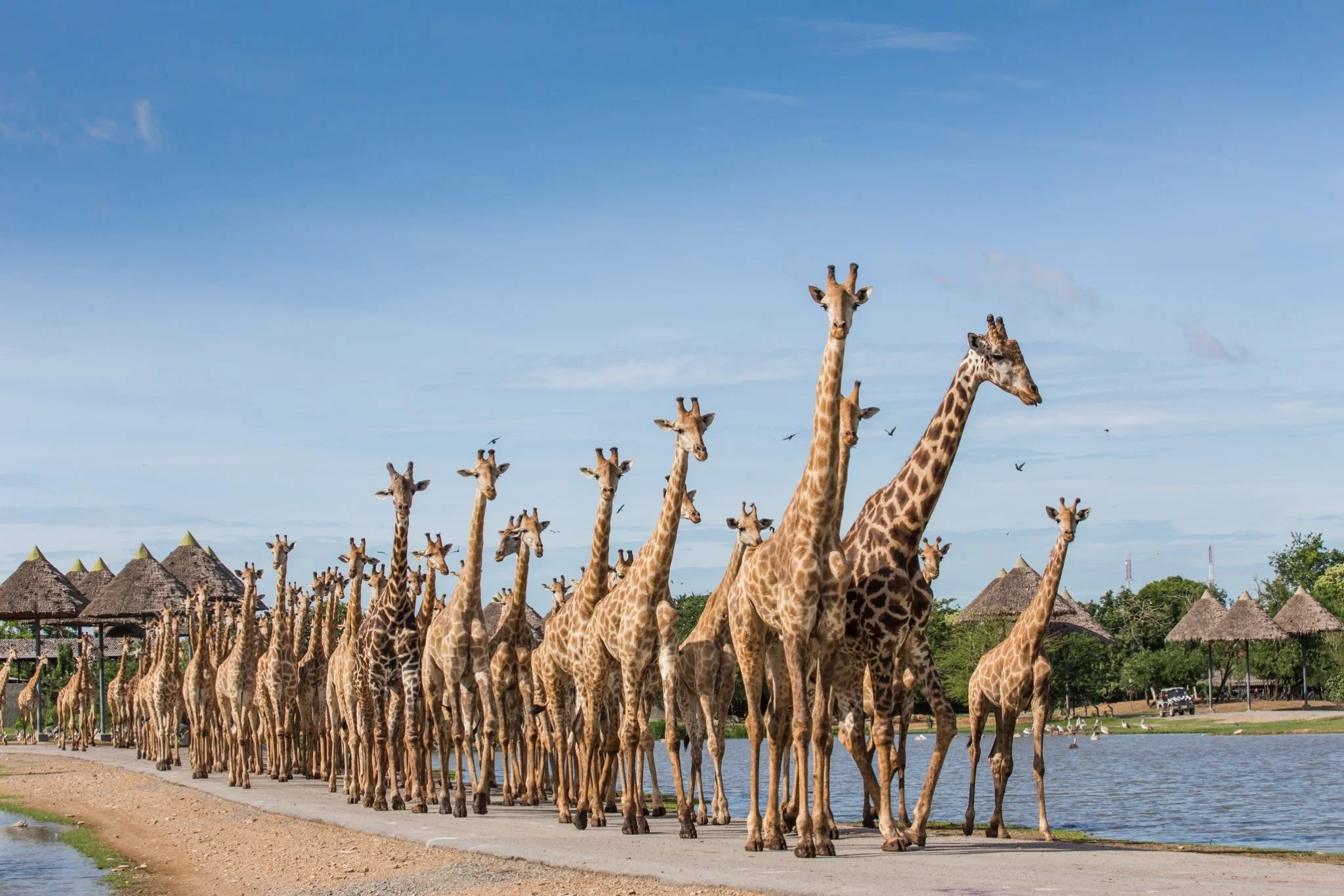 Bangkok: Safari World Park Entry with Hotel Transfer & Guide