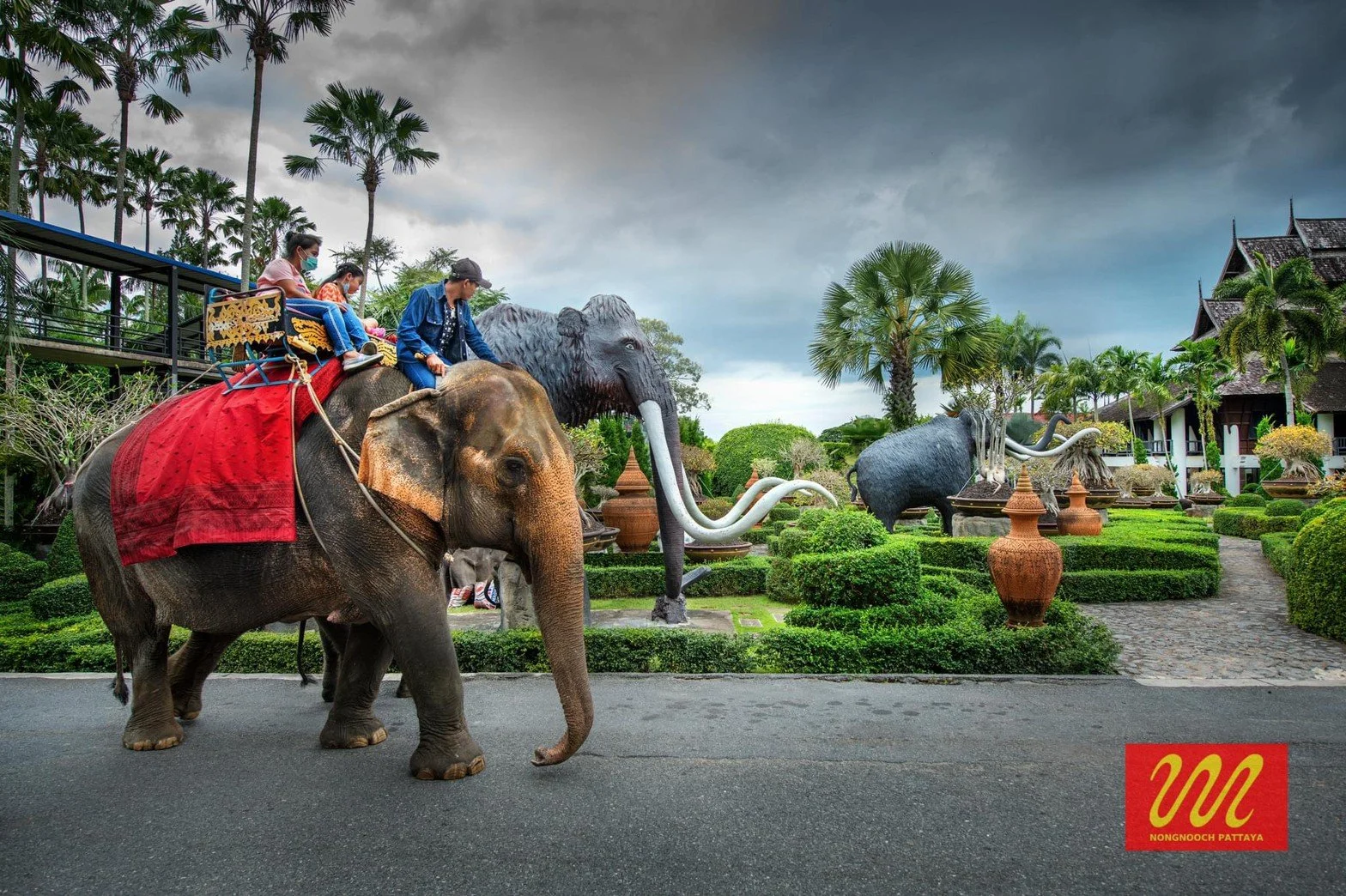 Elephant riding .jpg