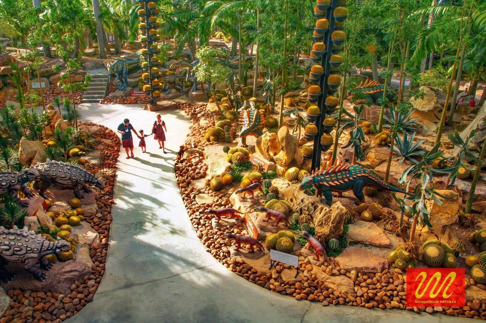 Cactus garden two.jpg