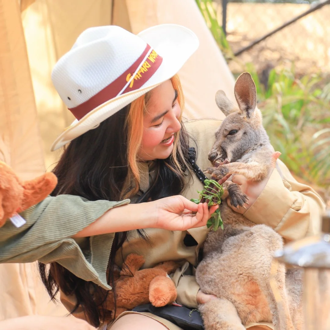 Camp_Kangaroo_05.jpg