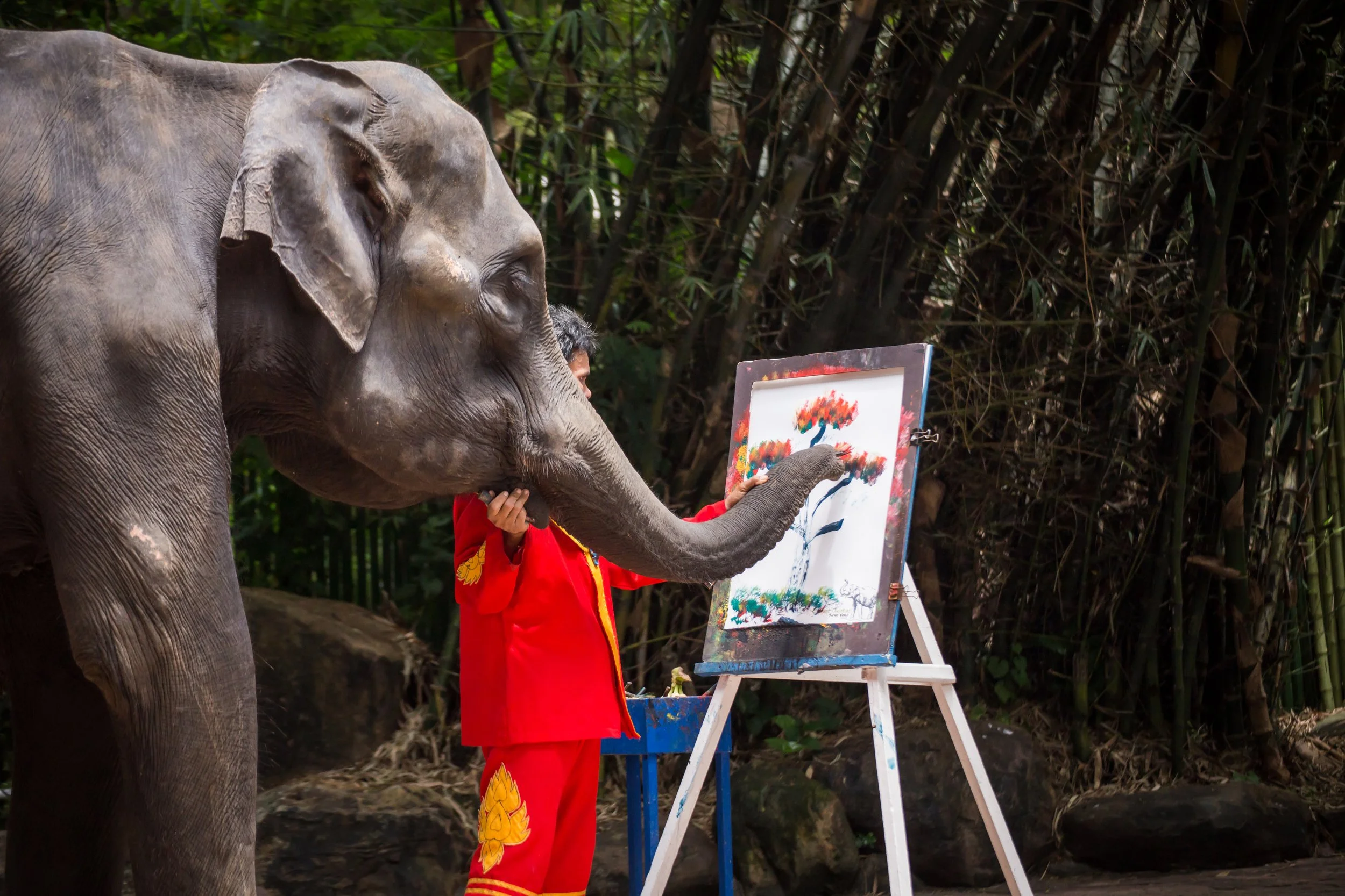 Elephants Show_02.jpg