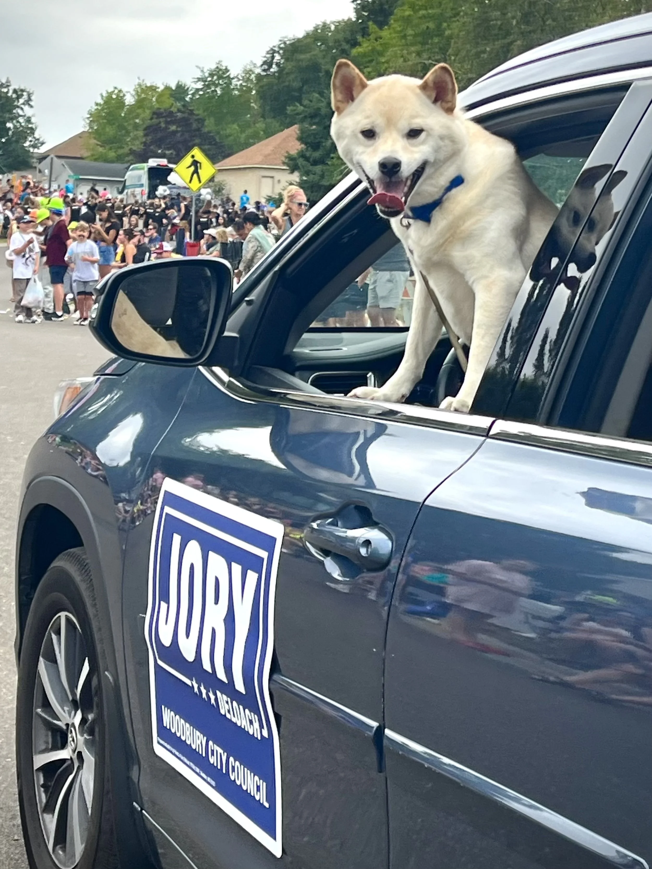 A smiling dog leans out the window of an SUV with a Jory DeLoach for Woodbury City Council sign during a parade, with crowds of neighbors lining the street.