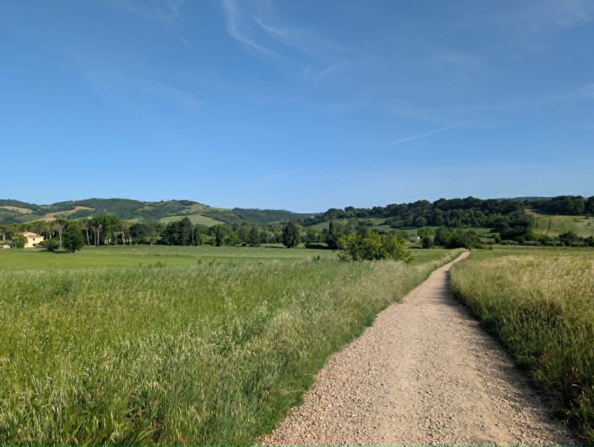 A landscape scene with a clear blue sky, green hills in the background, and a grassy foreground. A dirt path runs through the grass.