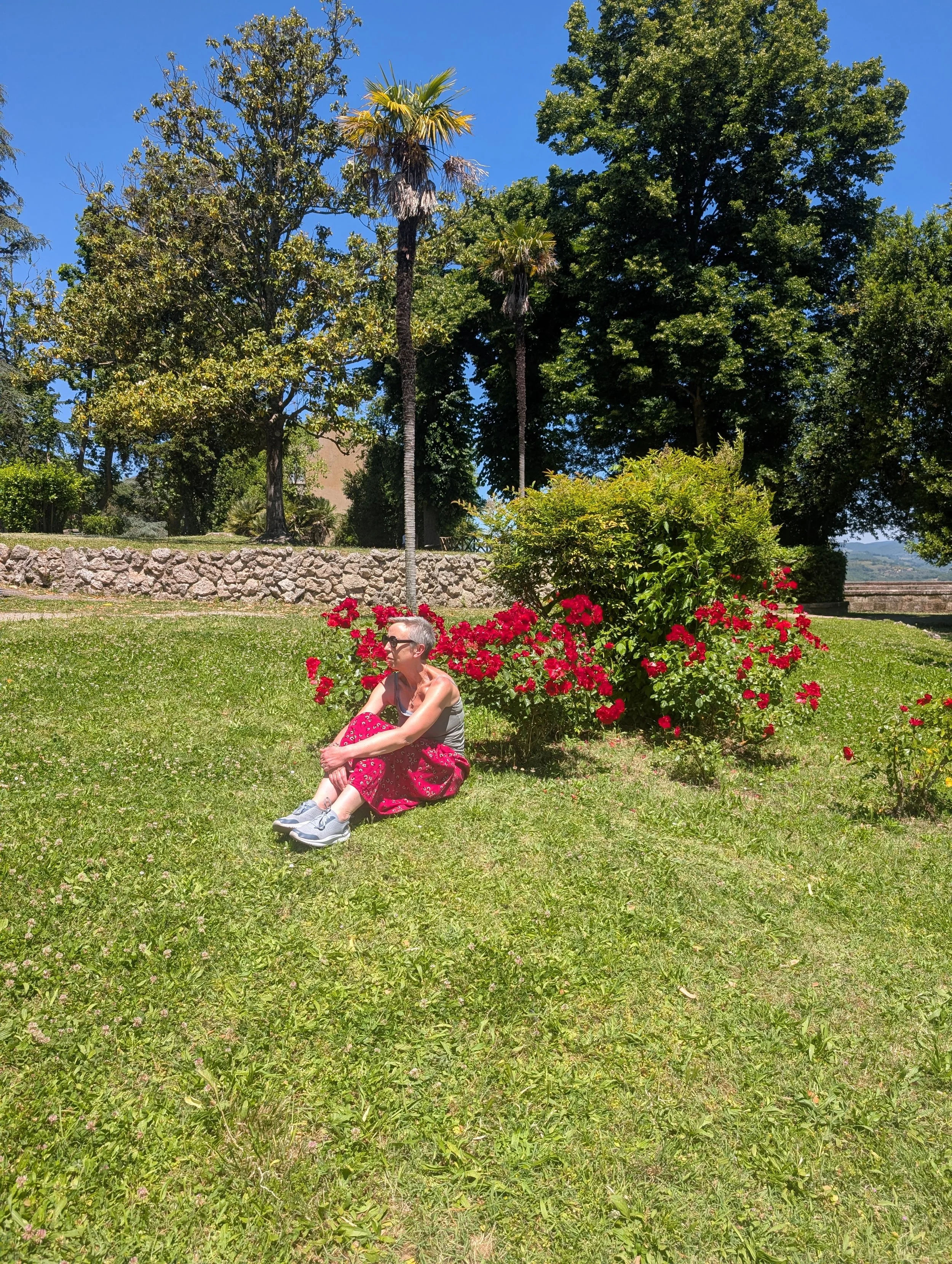 A woman sitting on the grass in a park with large green trees, bushes, and red flowers around her, under a clear blue sky.