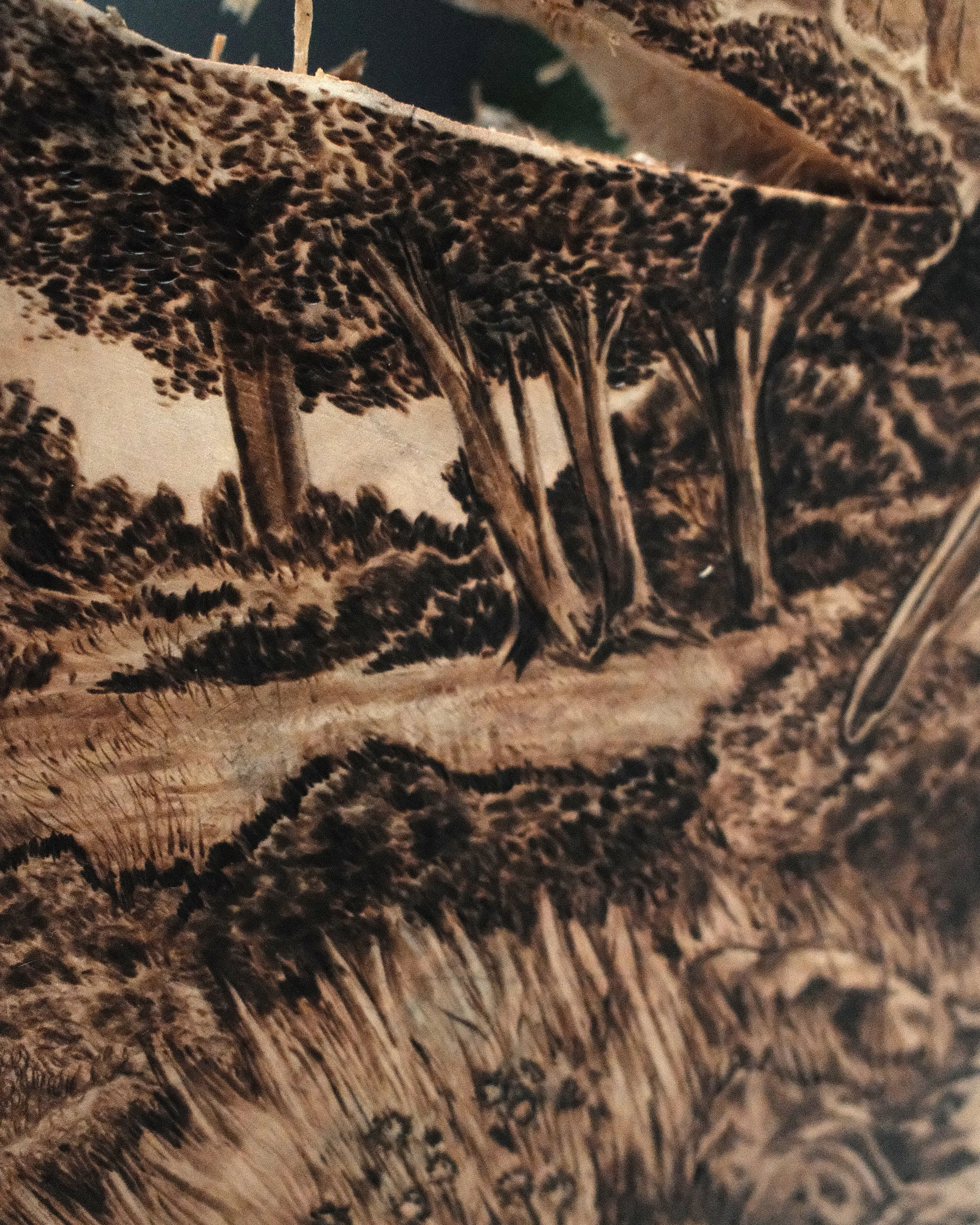 The Flight - Detail 2.jpg