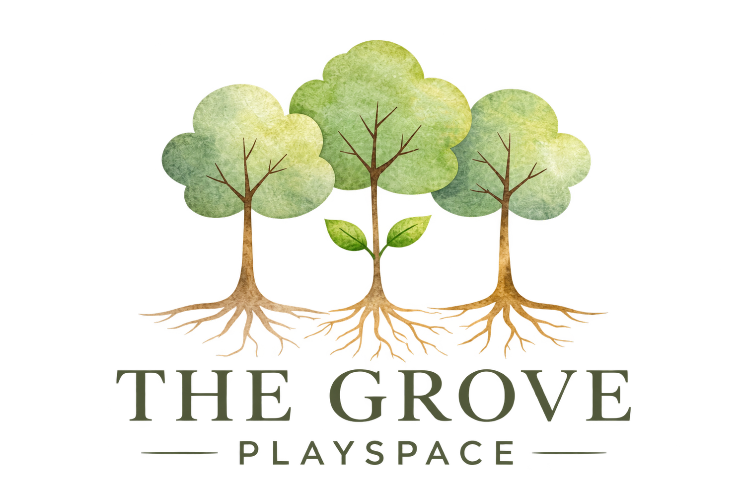 The Valley Grove Collaborative
