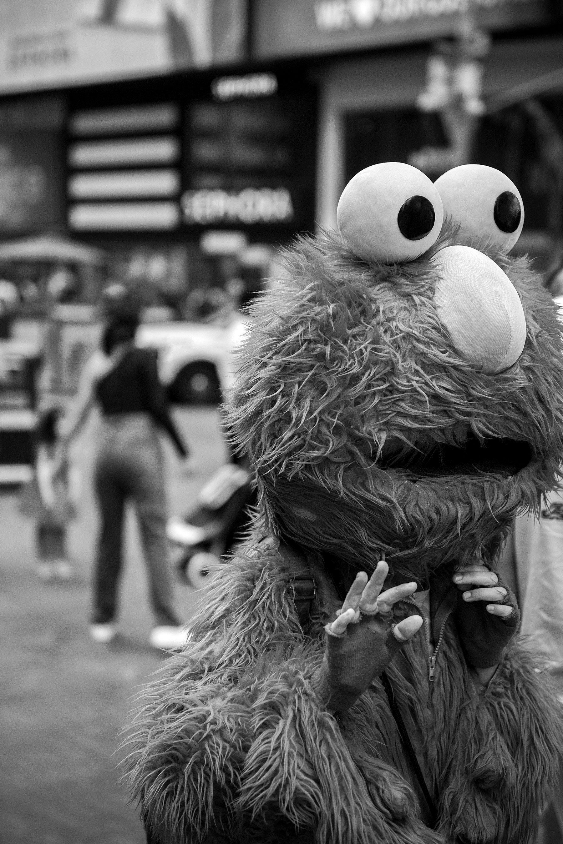 TB_THE PICTORIAL LIST IMAGE.jpg