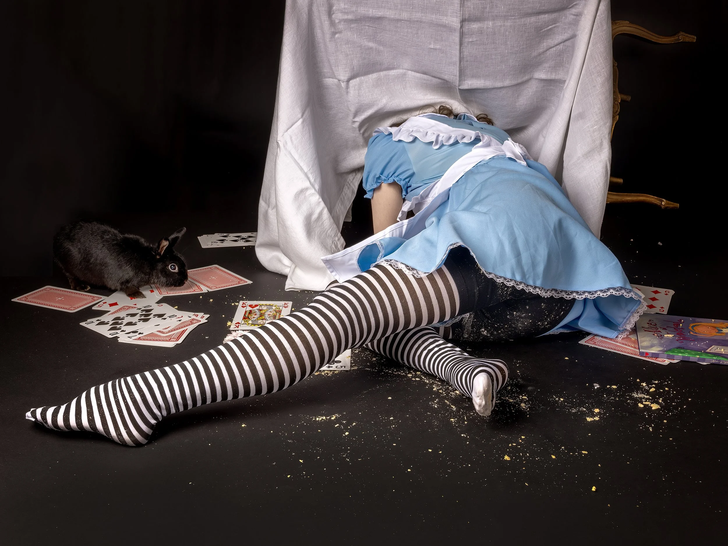 TB_ALICE IN WONDER_14.jpg