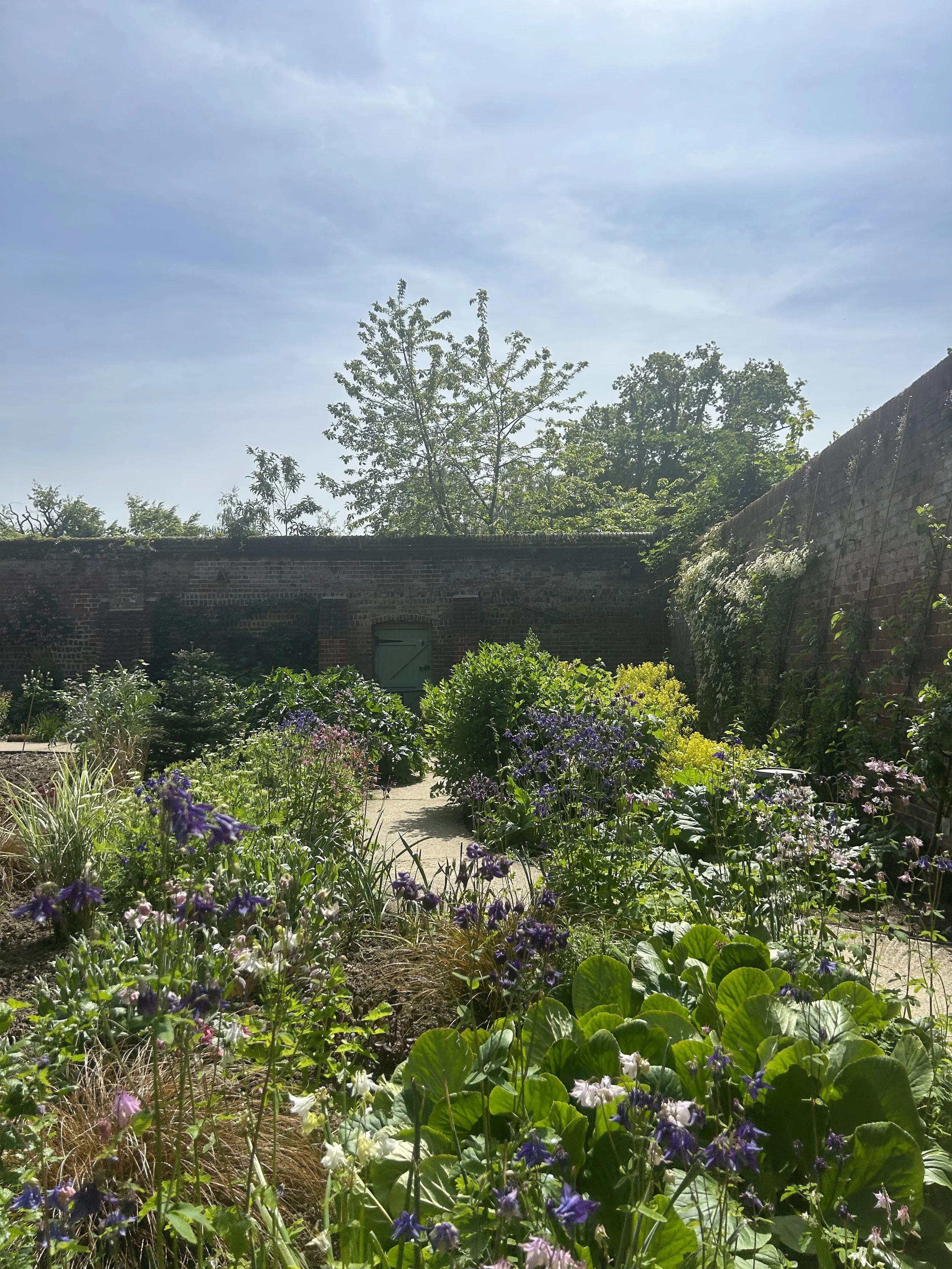 Suffolk concierge gardening, maintainance