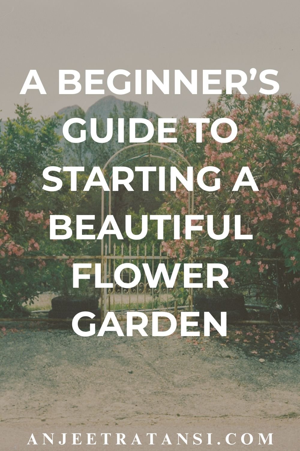A beginner’s guide to starting a beautiful flower garden