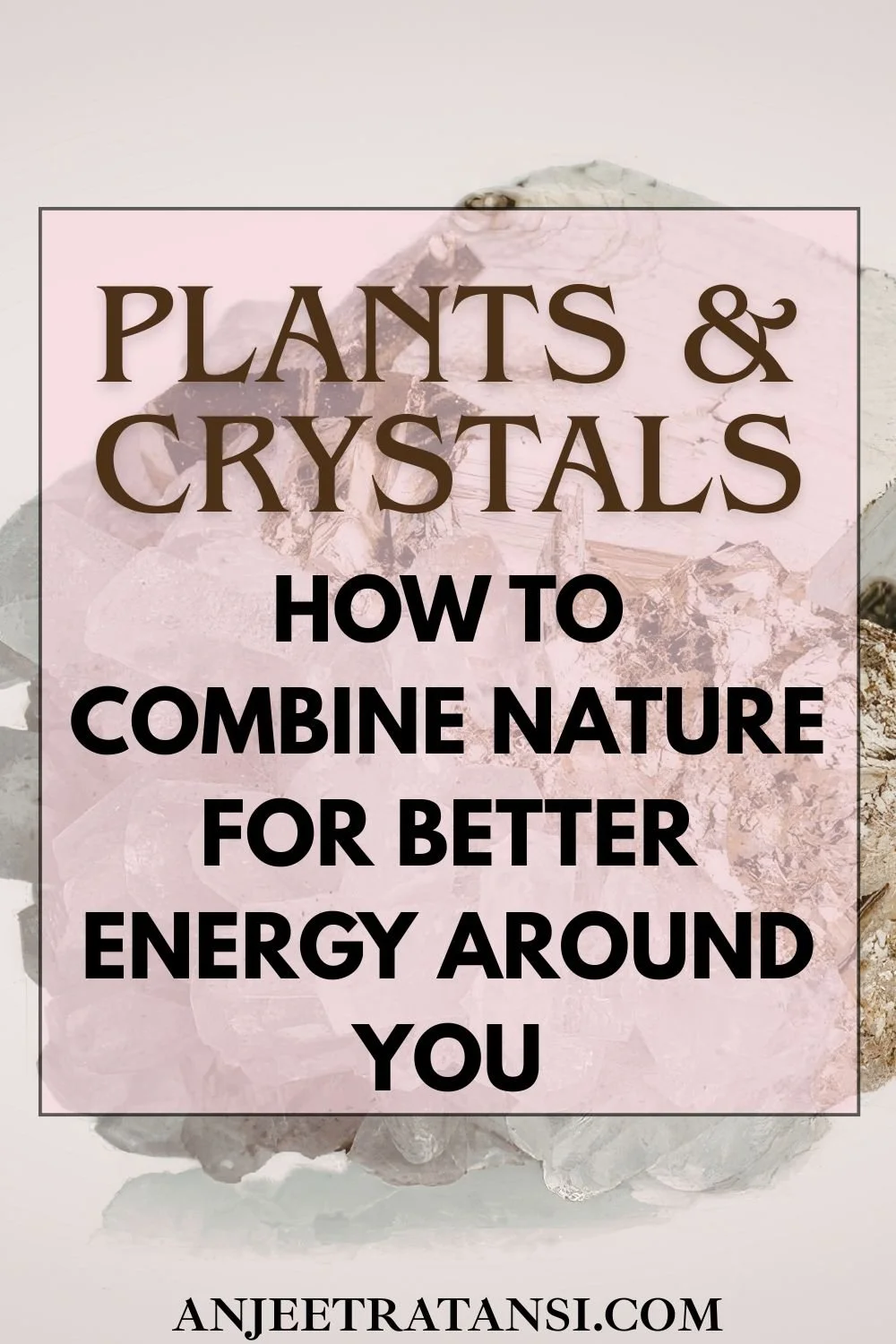 Plant and Crystal pairings: How to combine nature for better energy