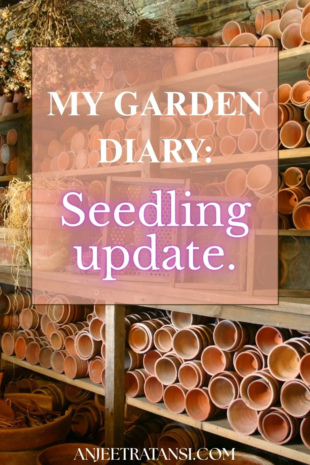 my Garden Diary: Seedling update for April