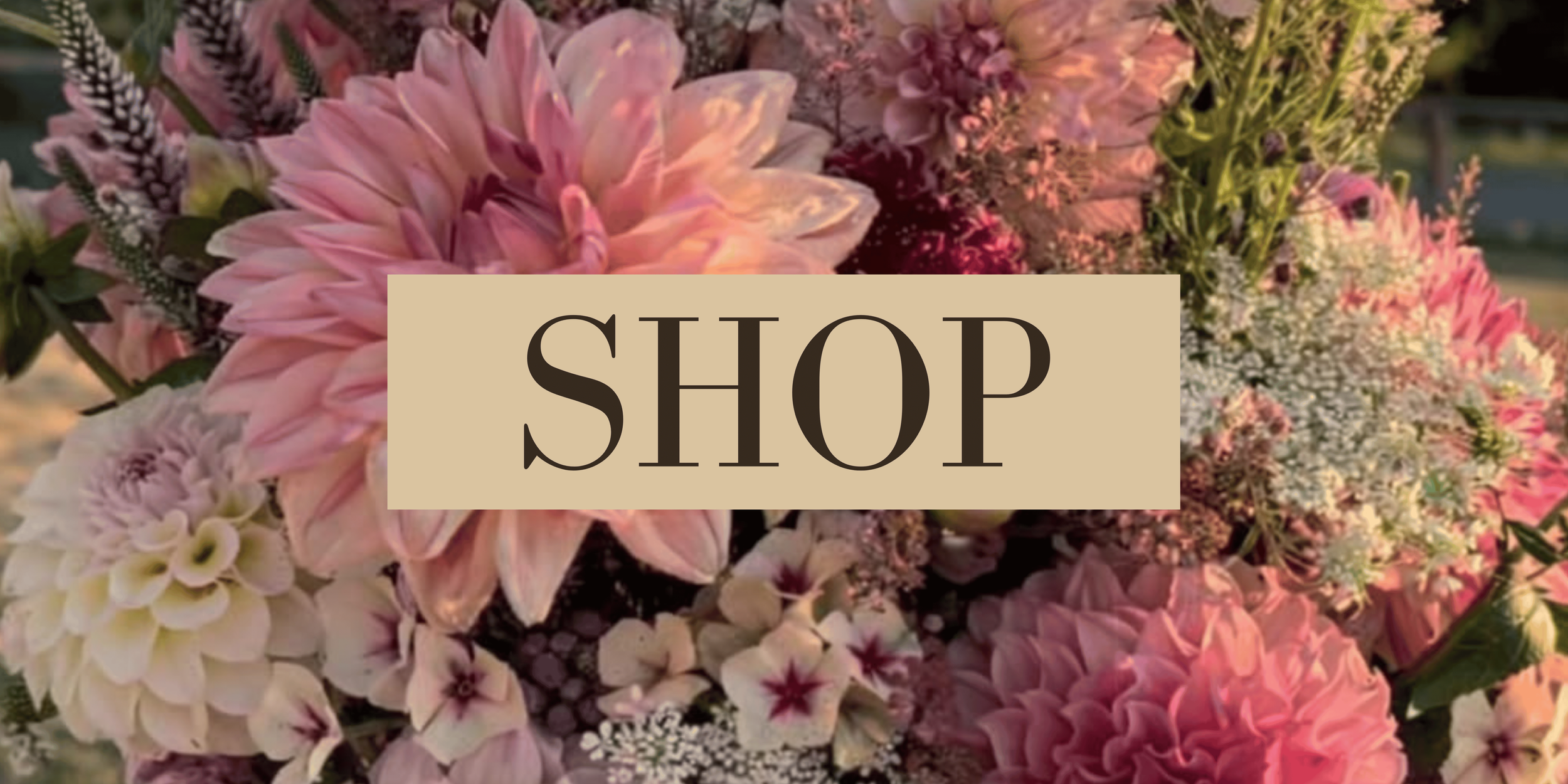 A floral background with pink, purple, and white flowers and a beige rectangular overlay with the word 'SHOP' in black text.