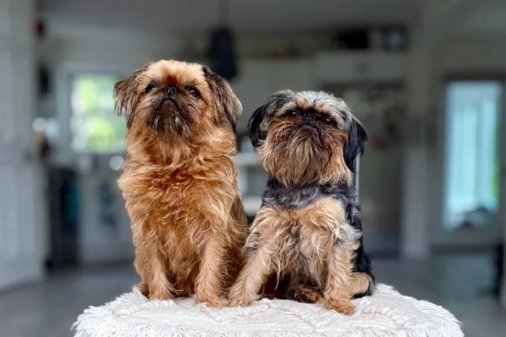 Luna and Kaia welcome you!