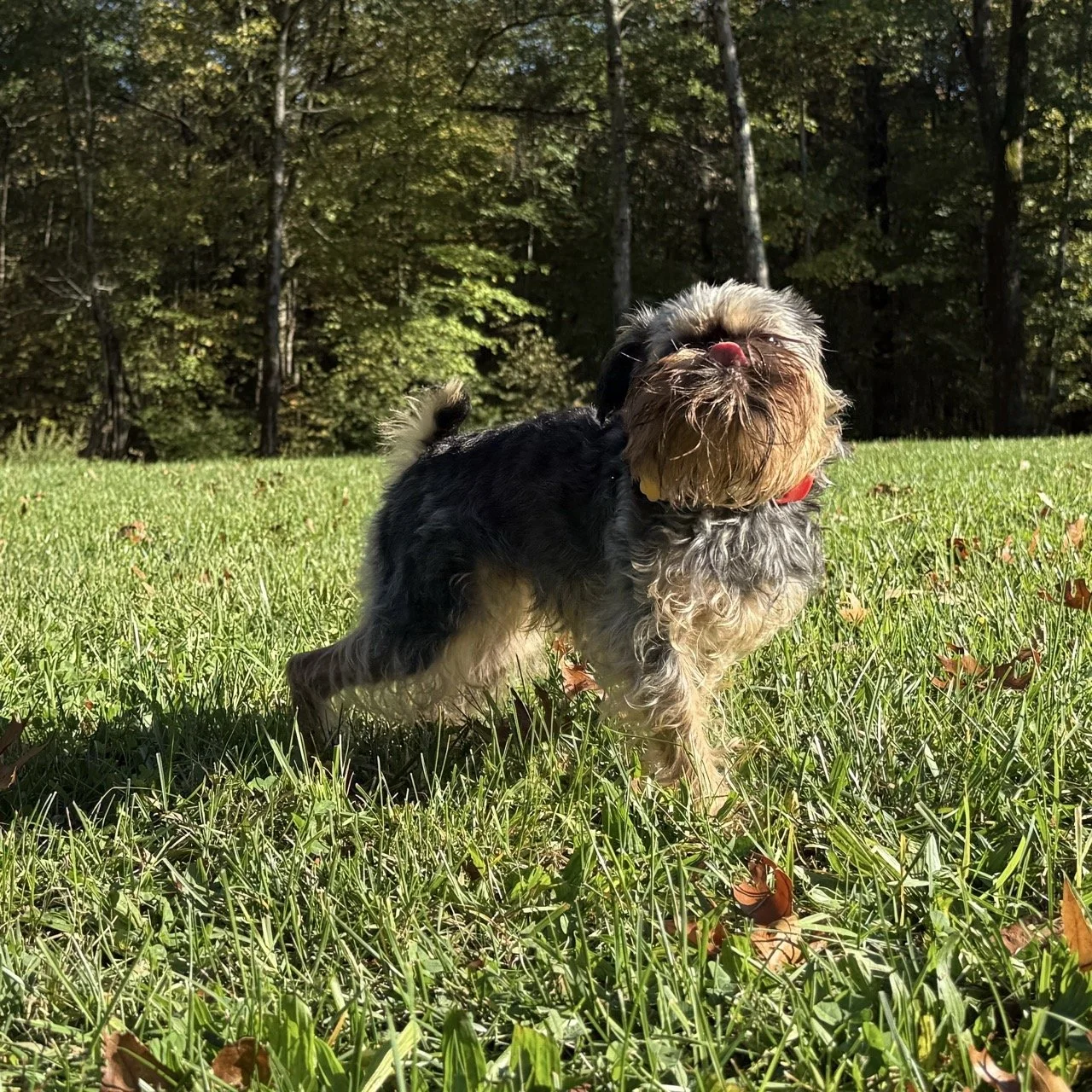 Kaia in action.