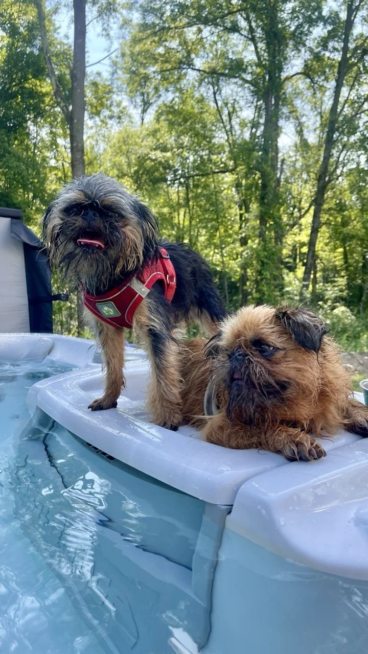 Hot tub dogs!