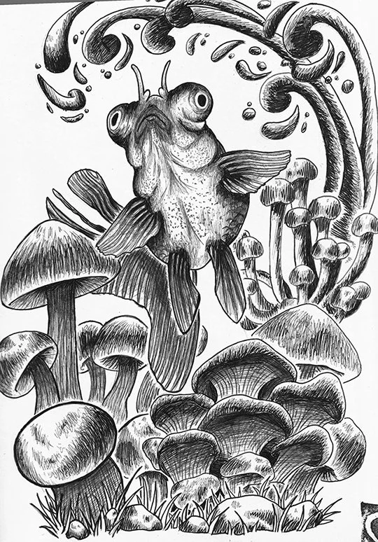 Fish Come First - Illustration