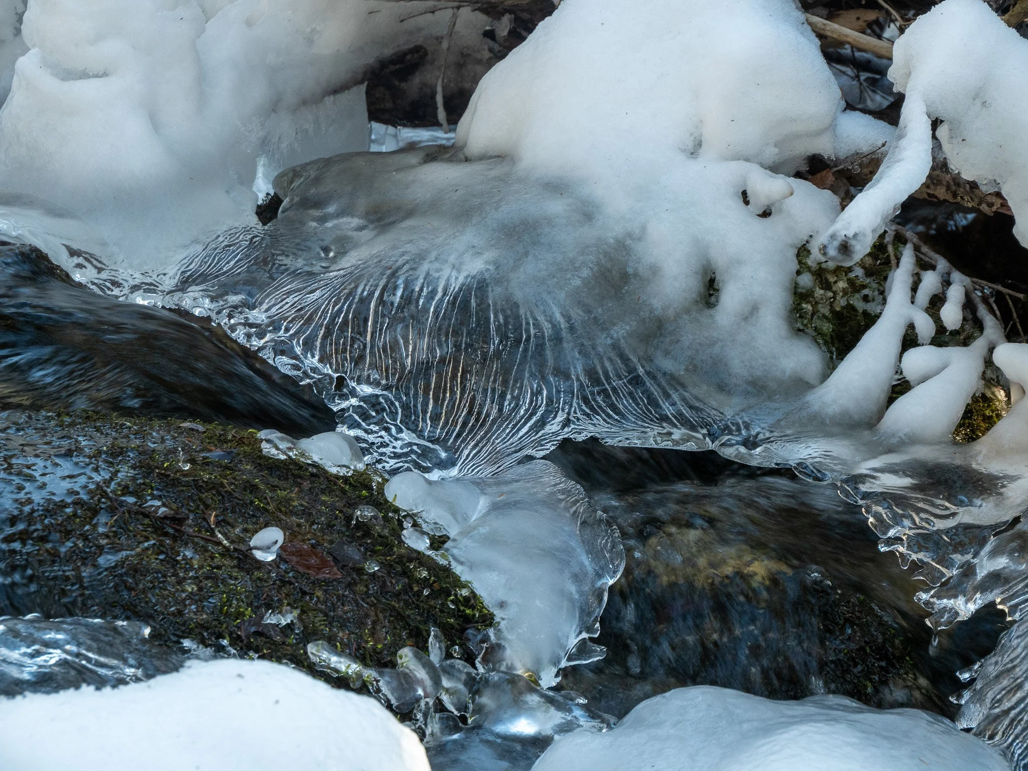 P1056435-2.jpg