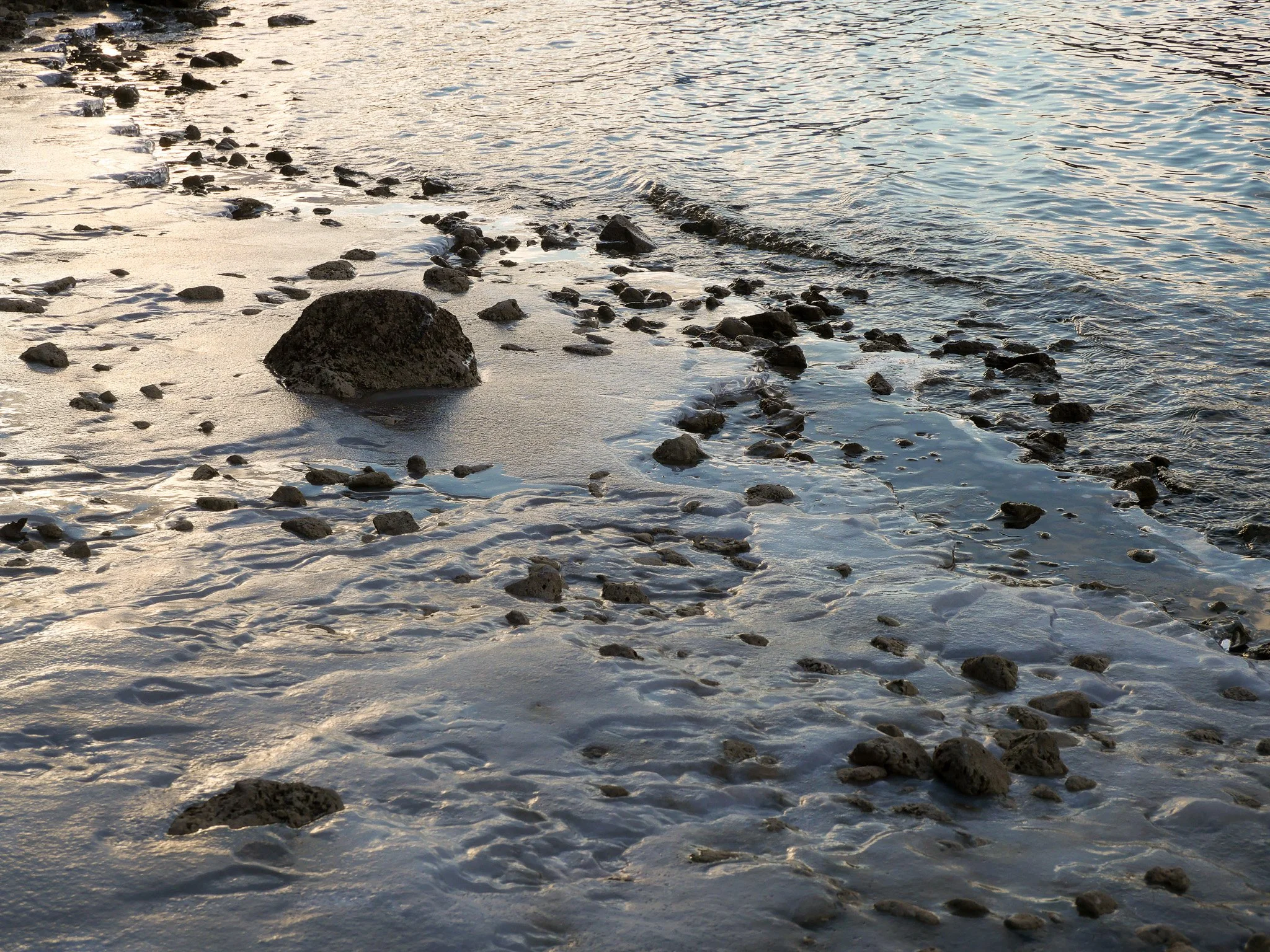 P1011863-2.jpg